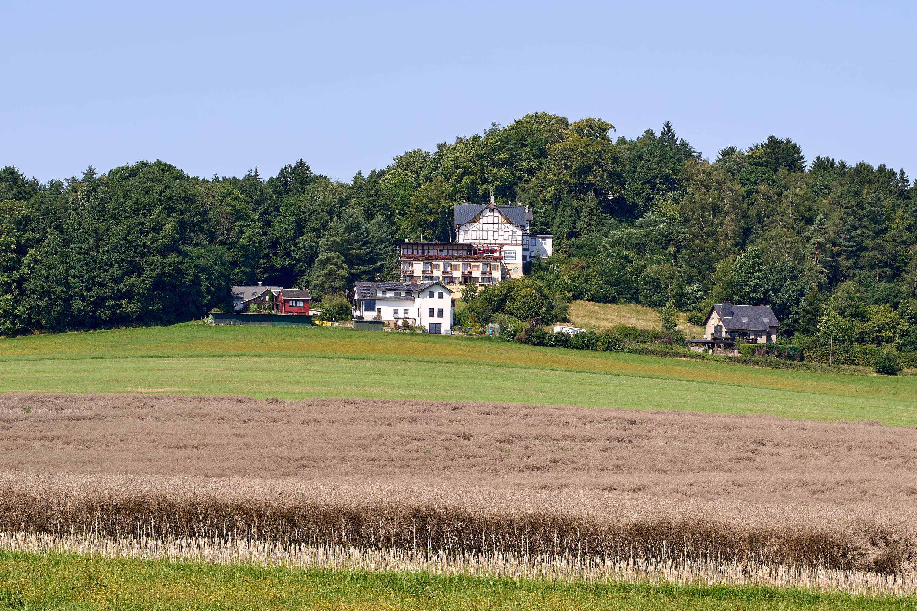 Wolfsberg (Reinhardtsdorf-Schöna) – Motiv