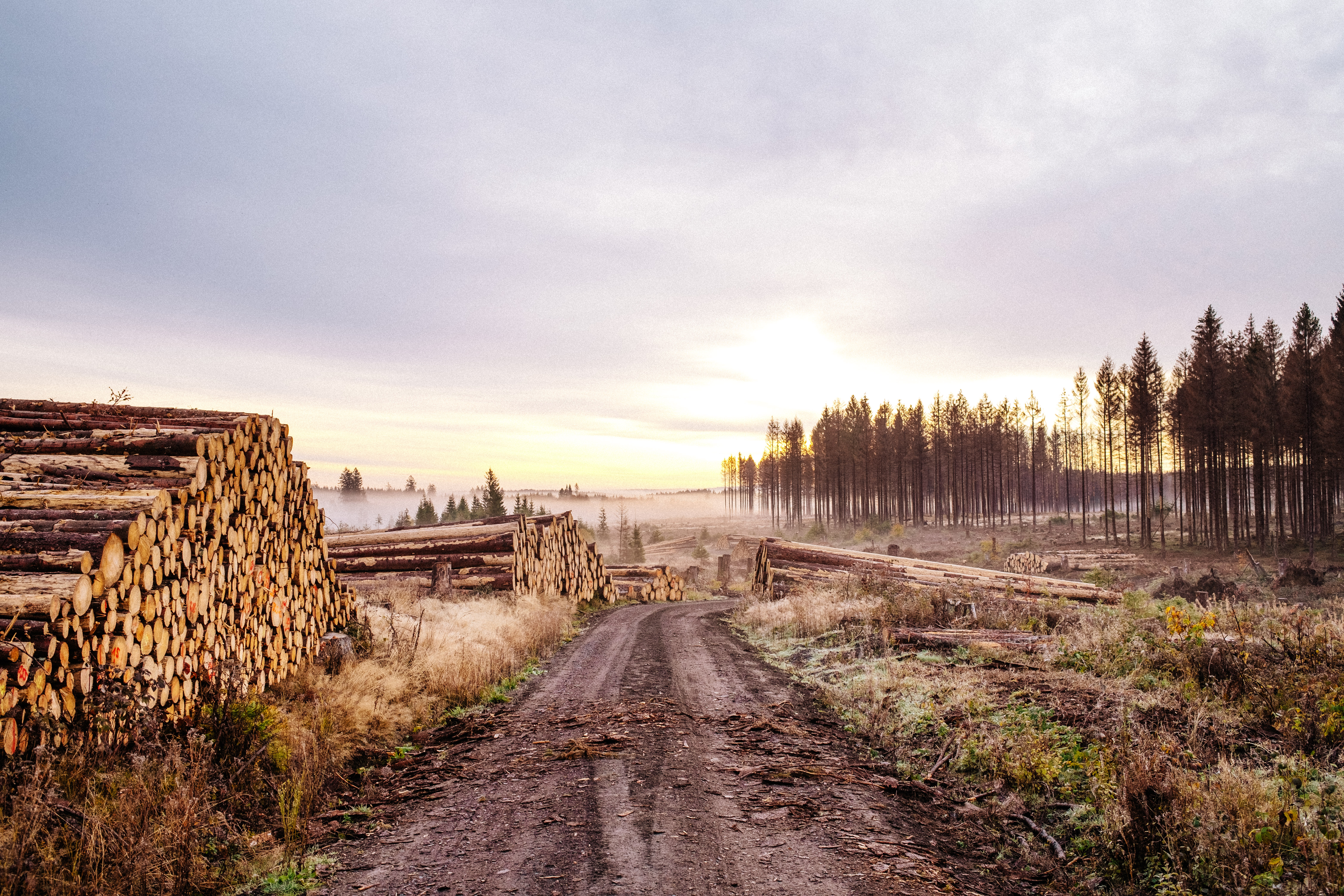 Sportliche Wanderung - Wanderwoche St. Andreasberg