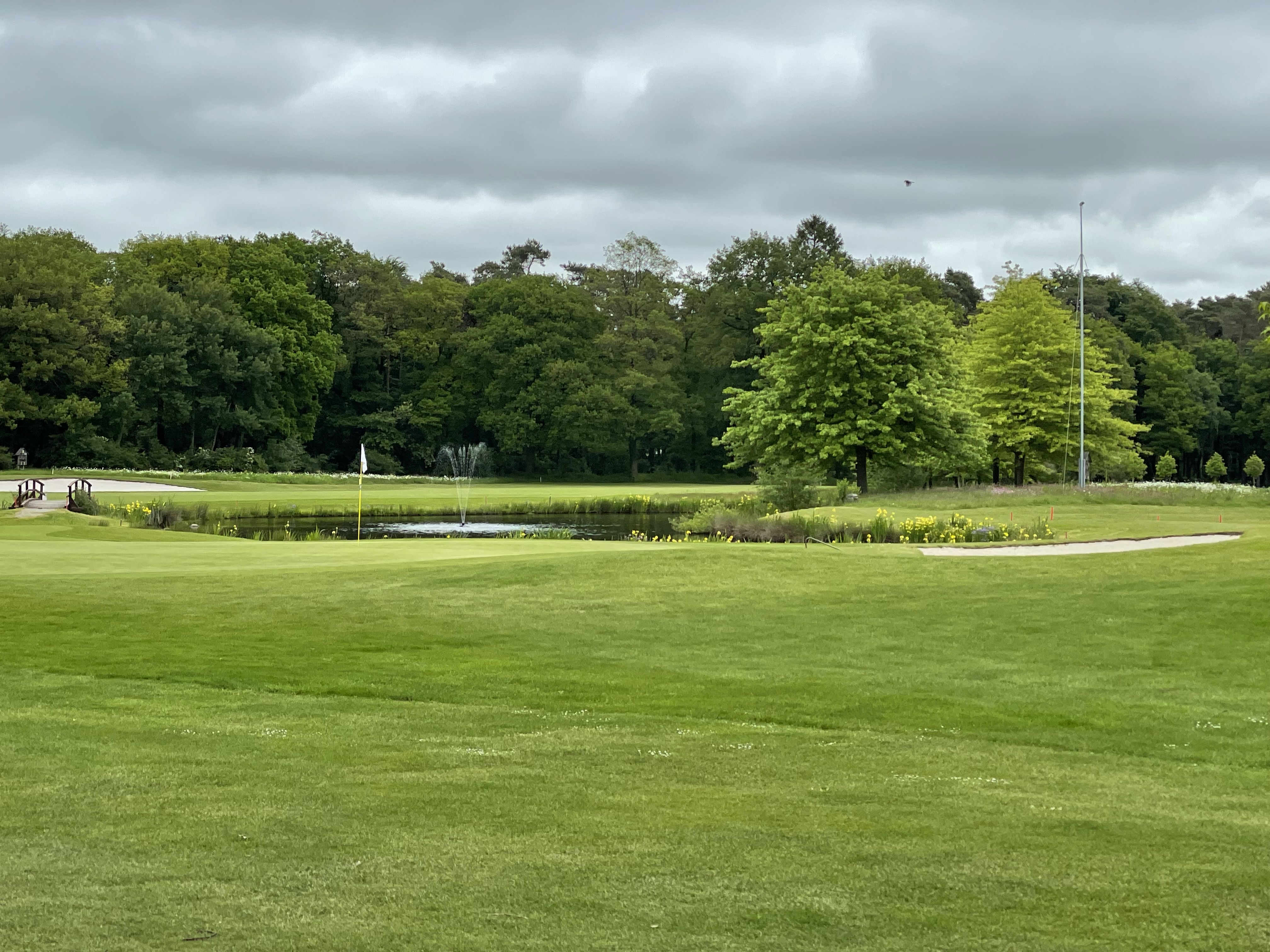 Oldenburgischer Golfclub e.V.