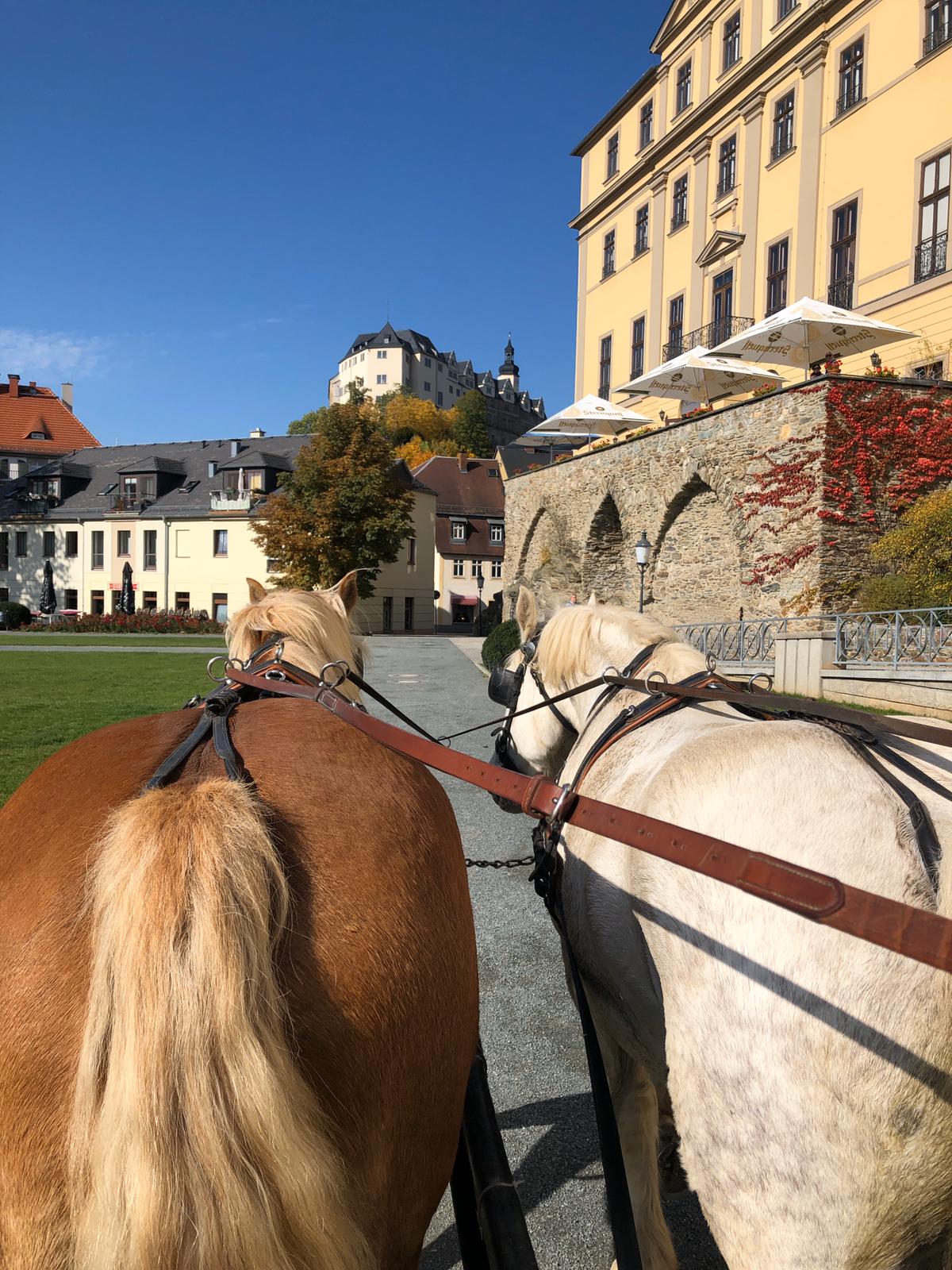 Kutsch- und Kremserfahrten in Greiz und Umgebung – Motiv