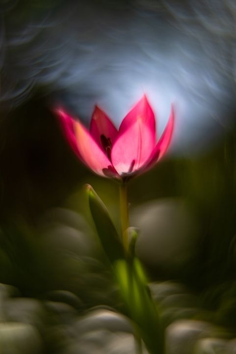 Malen mit der Kamera_2