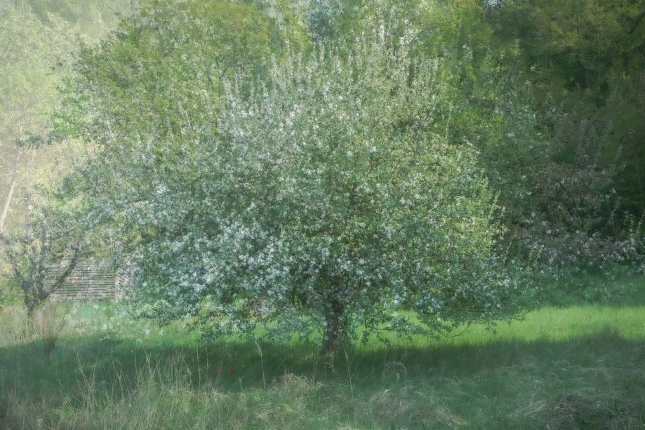 Malen mit der Kamera_5