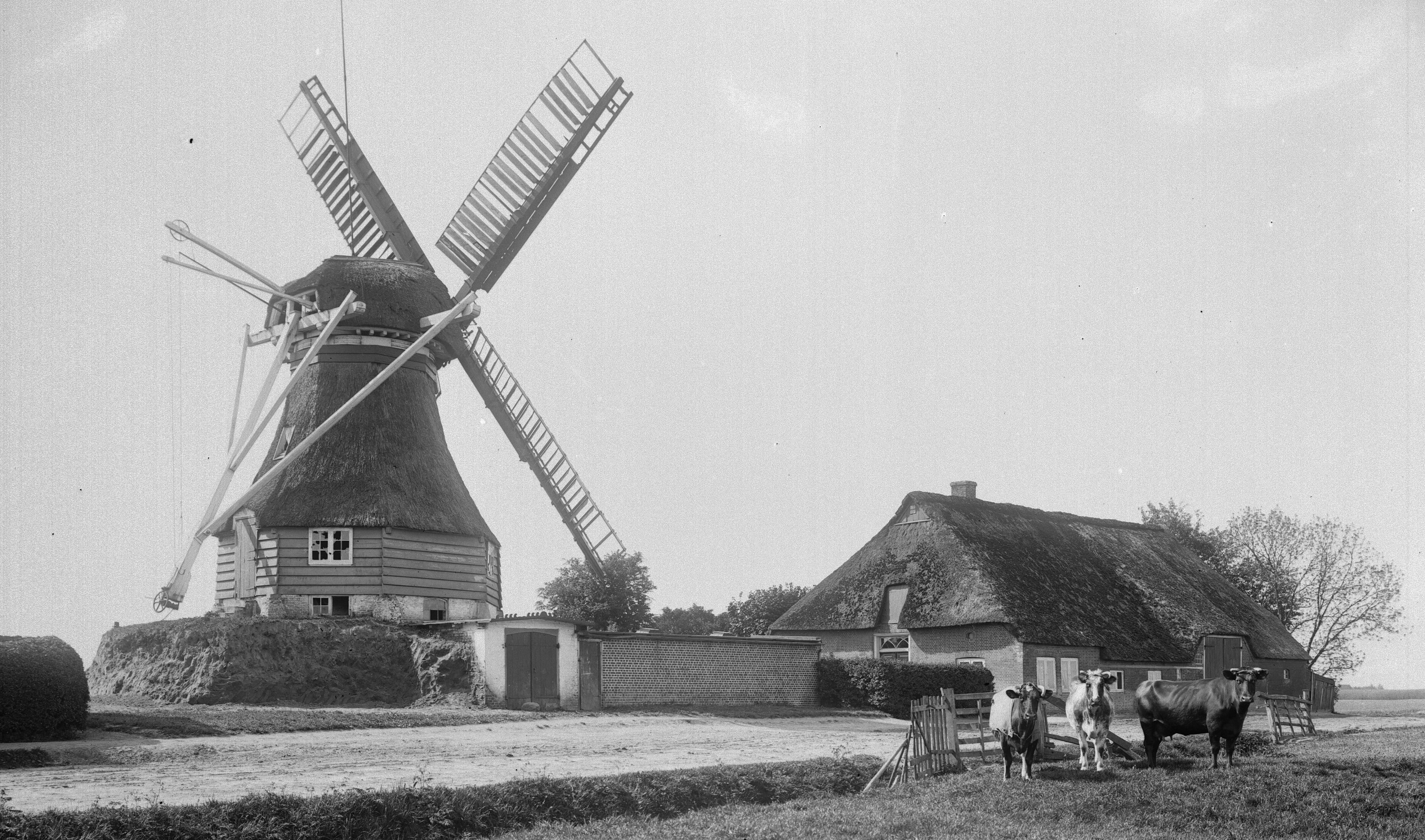Von der Holländermühle zur Windkraftanlage - Vortrag