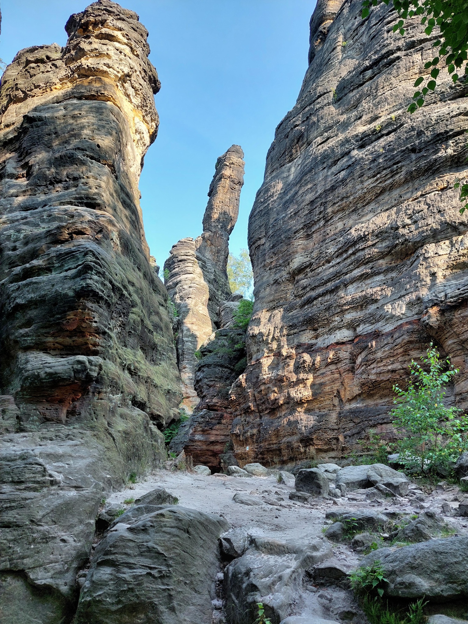 Von den Herkulessäulen zum Moorteich im Landschaftsschutzgebiet Sächsische Schweiz – Motiv