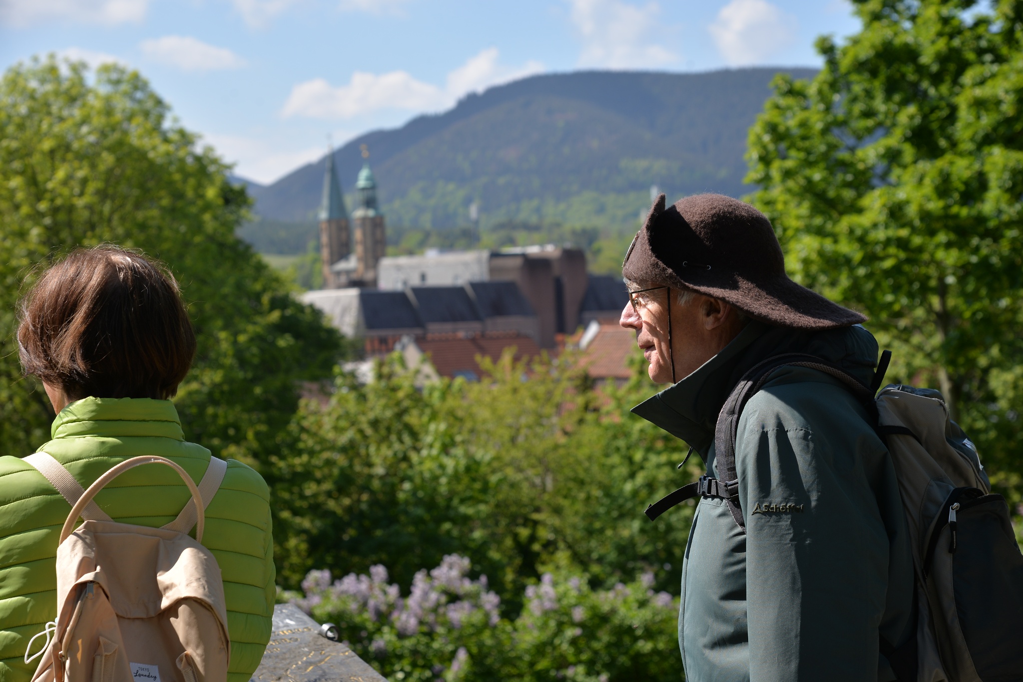 Harzer Klosterwanderweg - 1. Etappe - Goslar bis Vienenburg