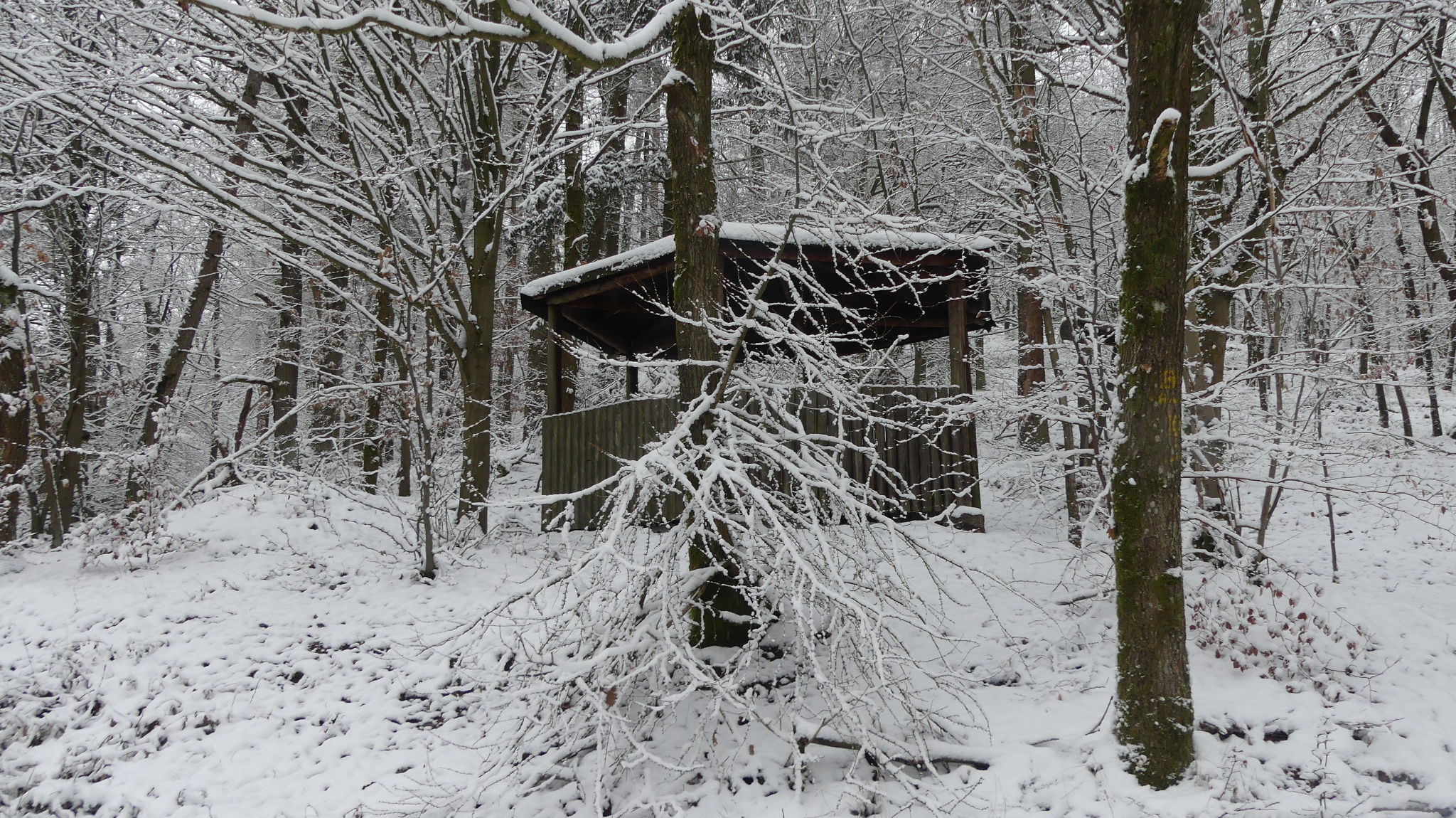 Schutzhütte am Kniebrecher