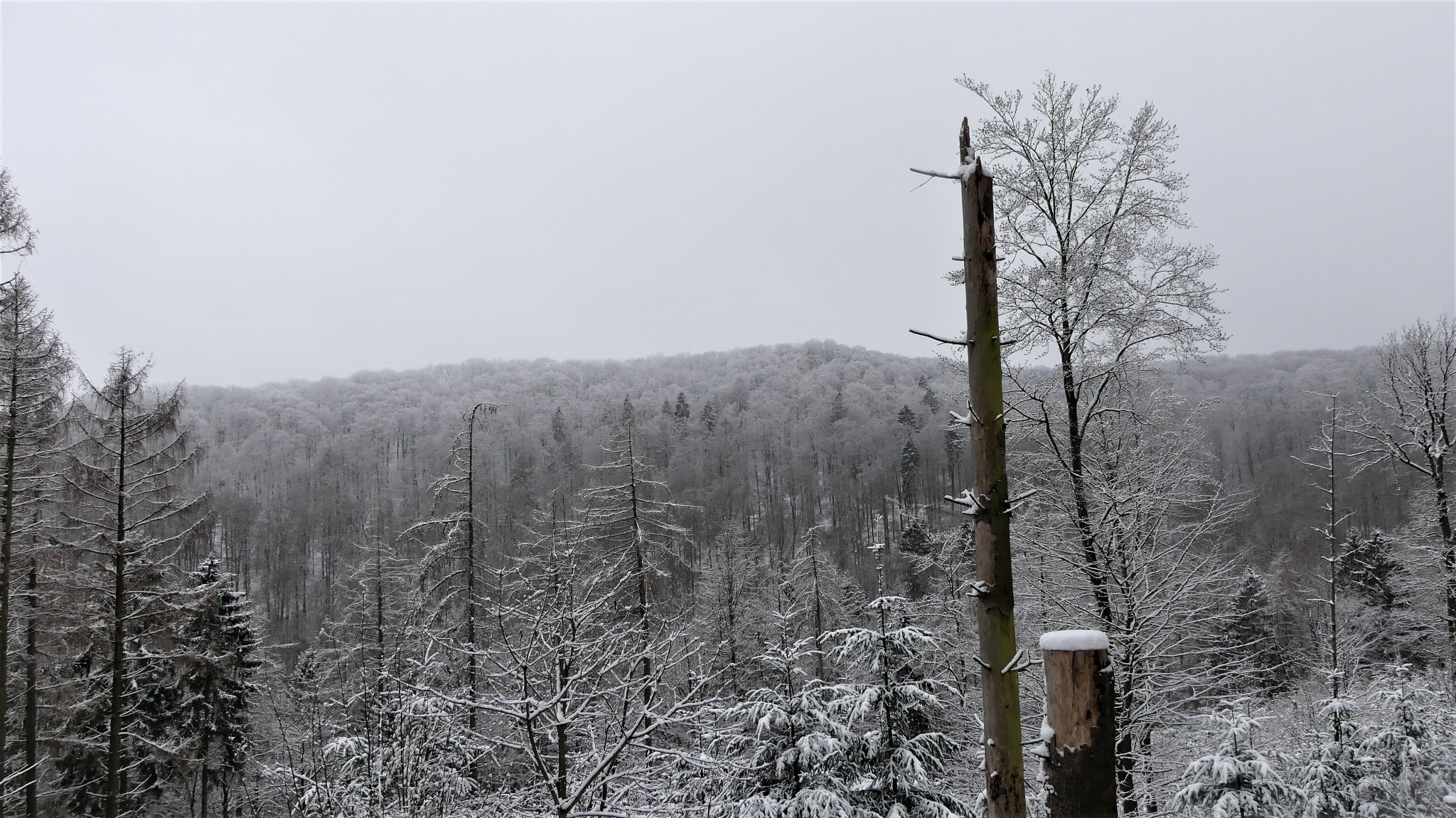 Ausblick zum Rotestein