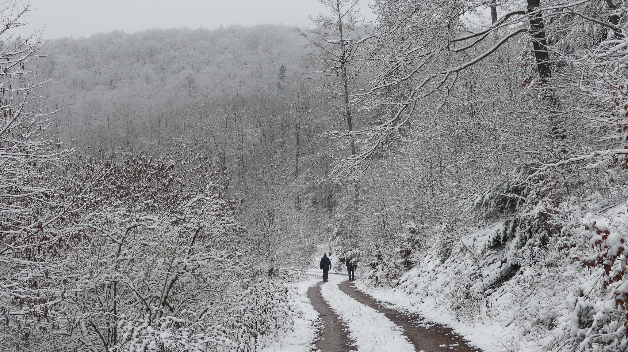 Wanderer im Finstertal bei Schnee