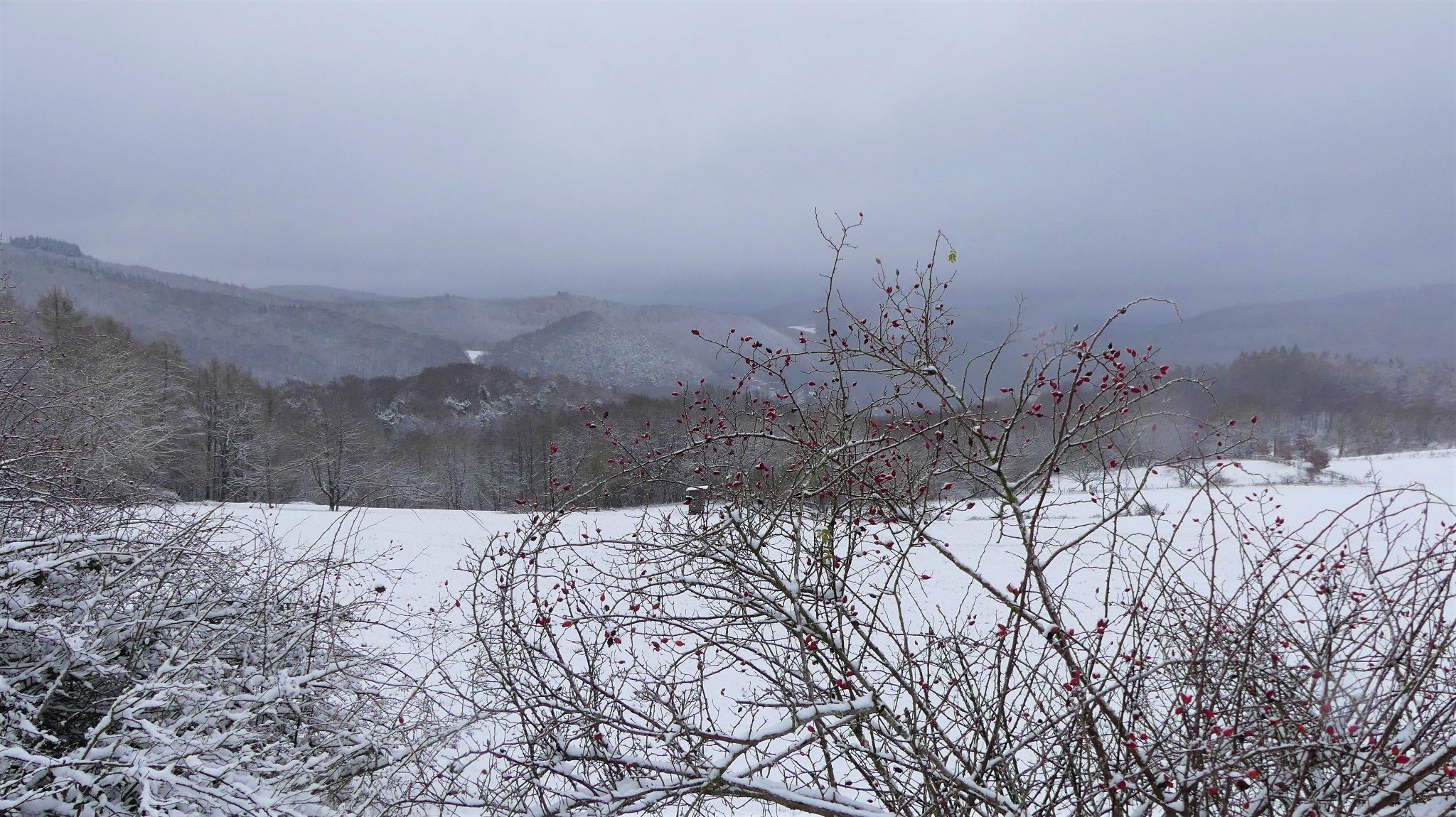 Herrlicher Ausblick in den Kellerwald