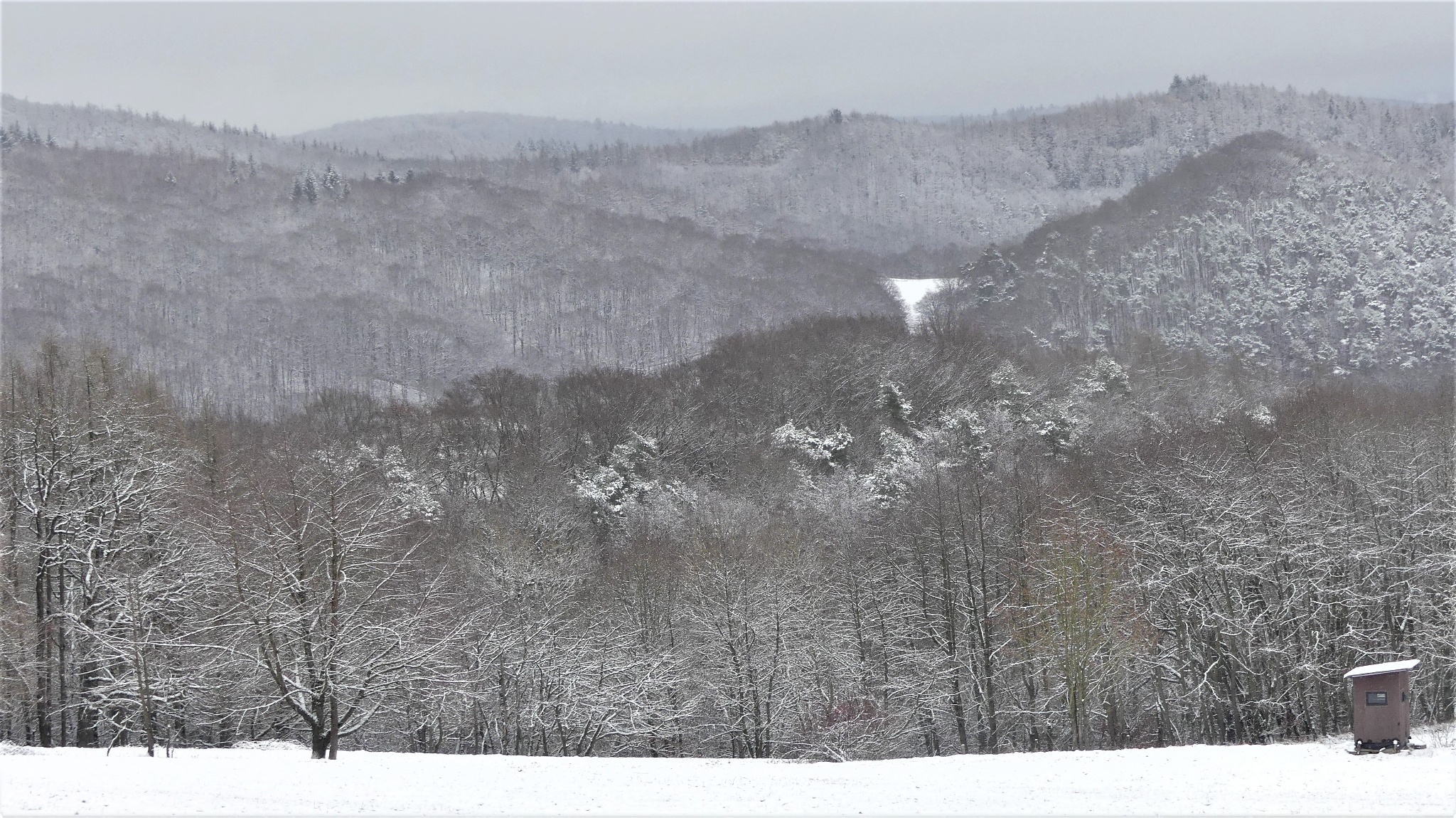 Winterlandschaft am Spitzenberg