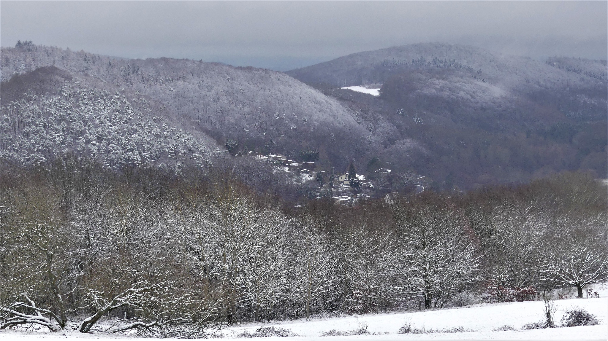Blick auf Bergfreiheit