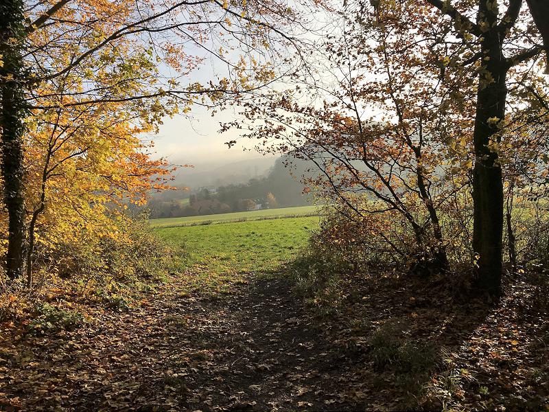Meller Naturführungen - Wanderung "Noller Schlucht"