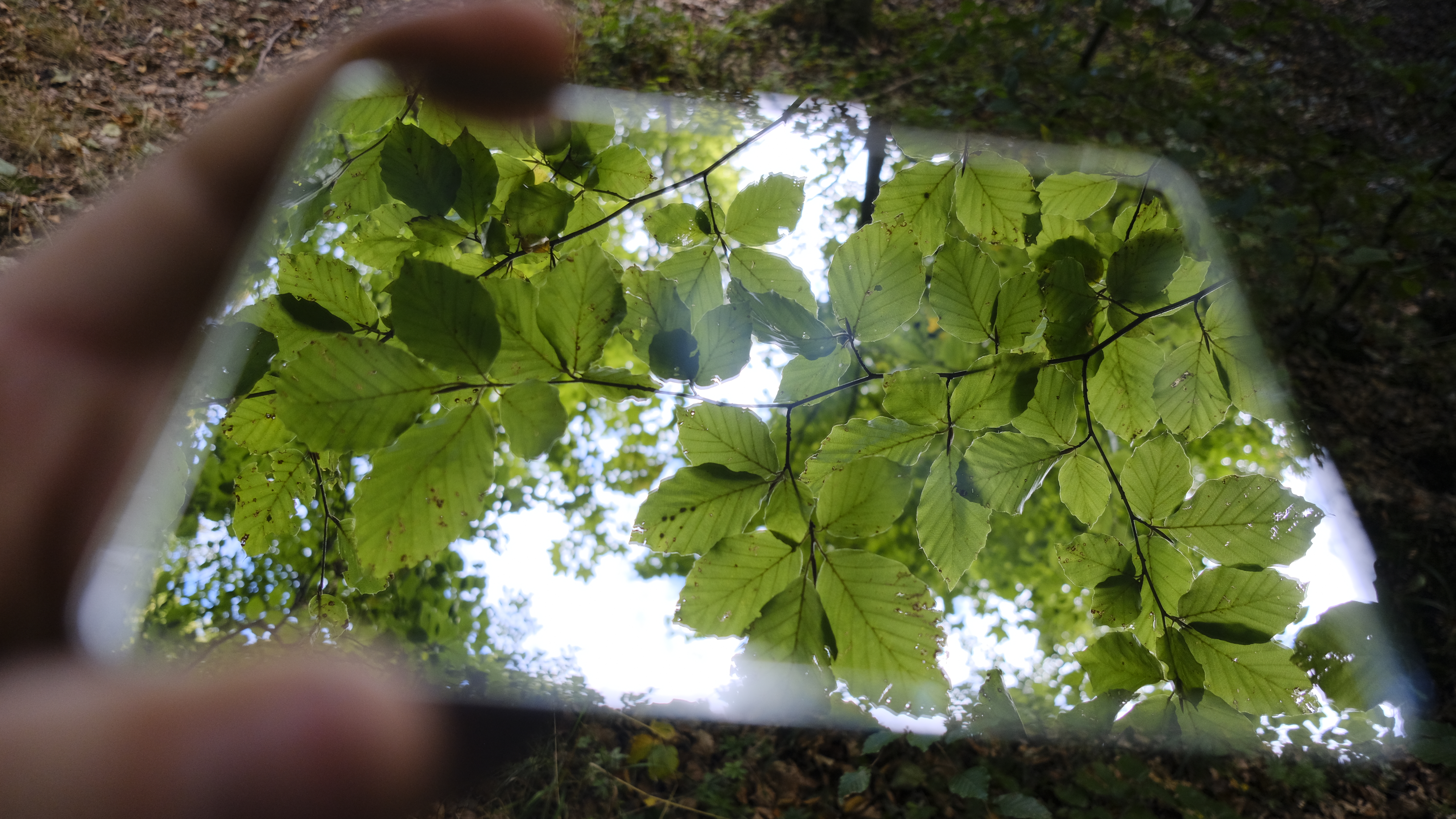 Spiegel (c) Catharina Schütze.jpg