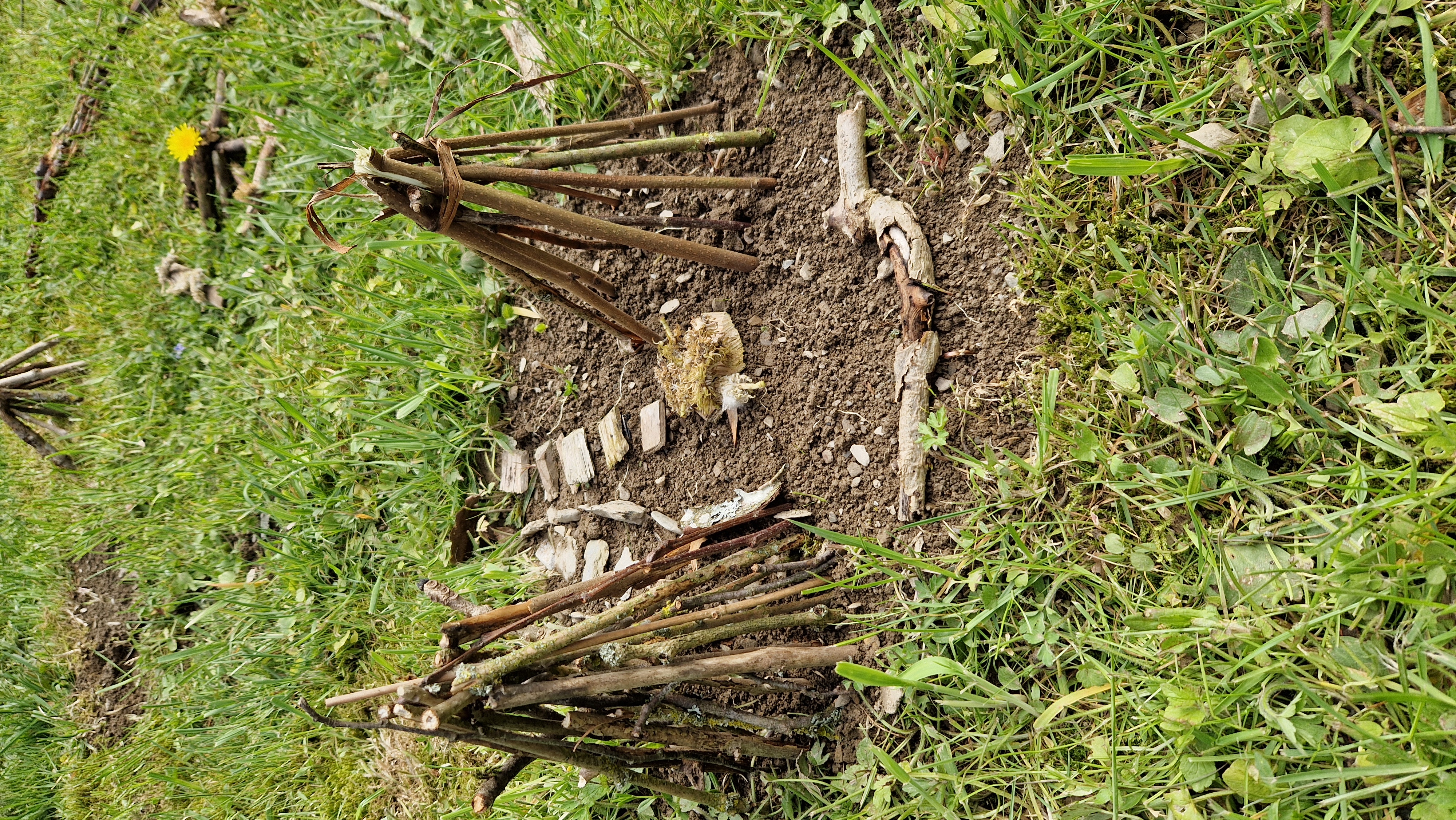 Stehende Stöcke (c) Catharina Schütze.jpg