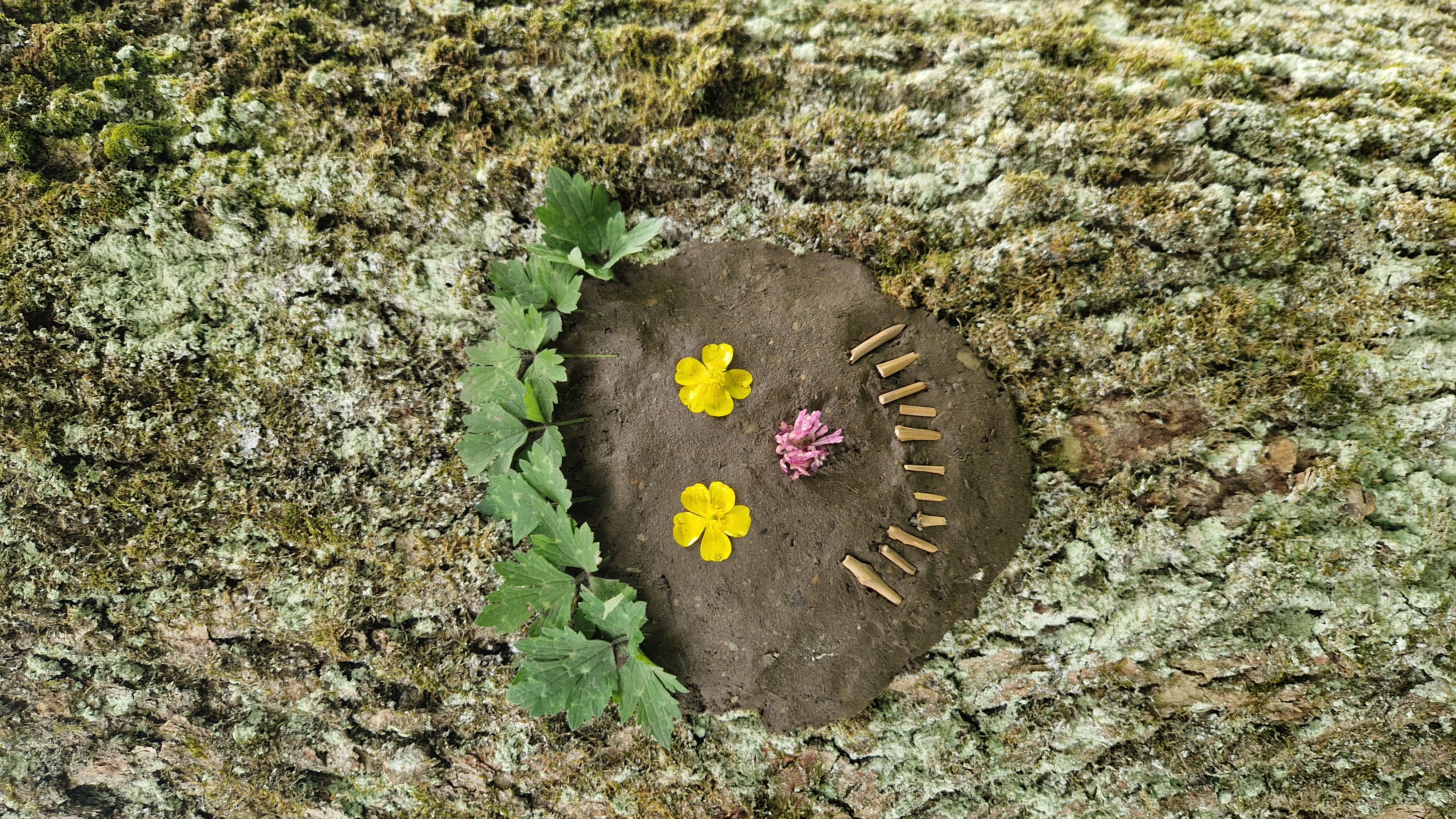 Gesicht (Catharina Schütze).jpg