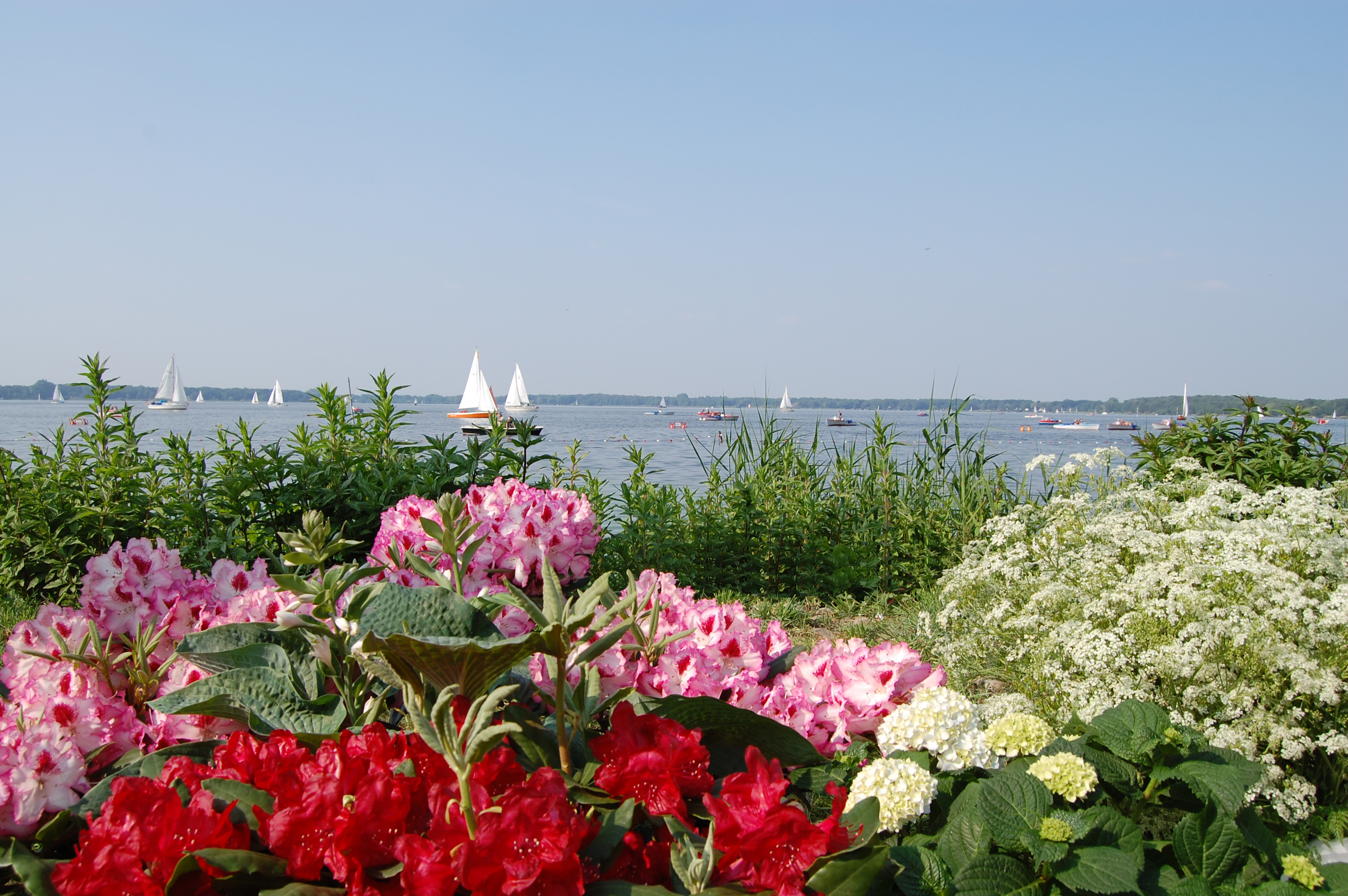 Gruppenreise: Rhododendron-Erlebnis