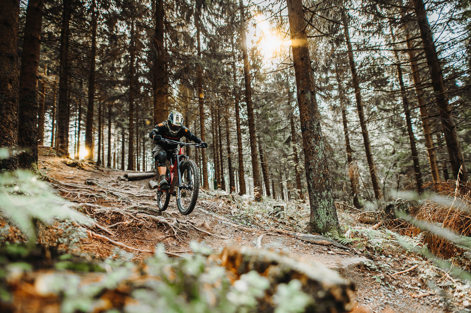 Bikepark Hahnenklee