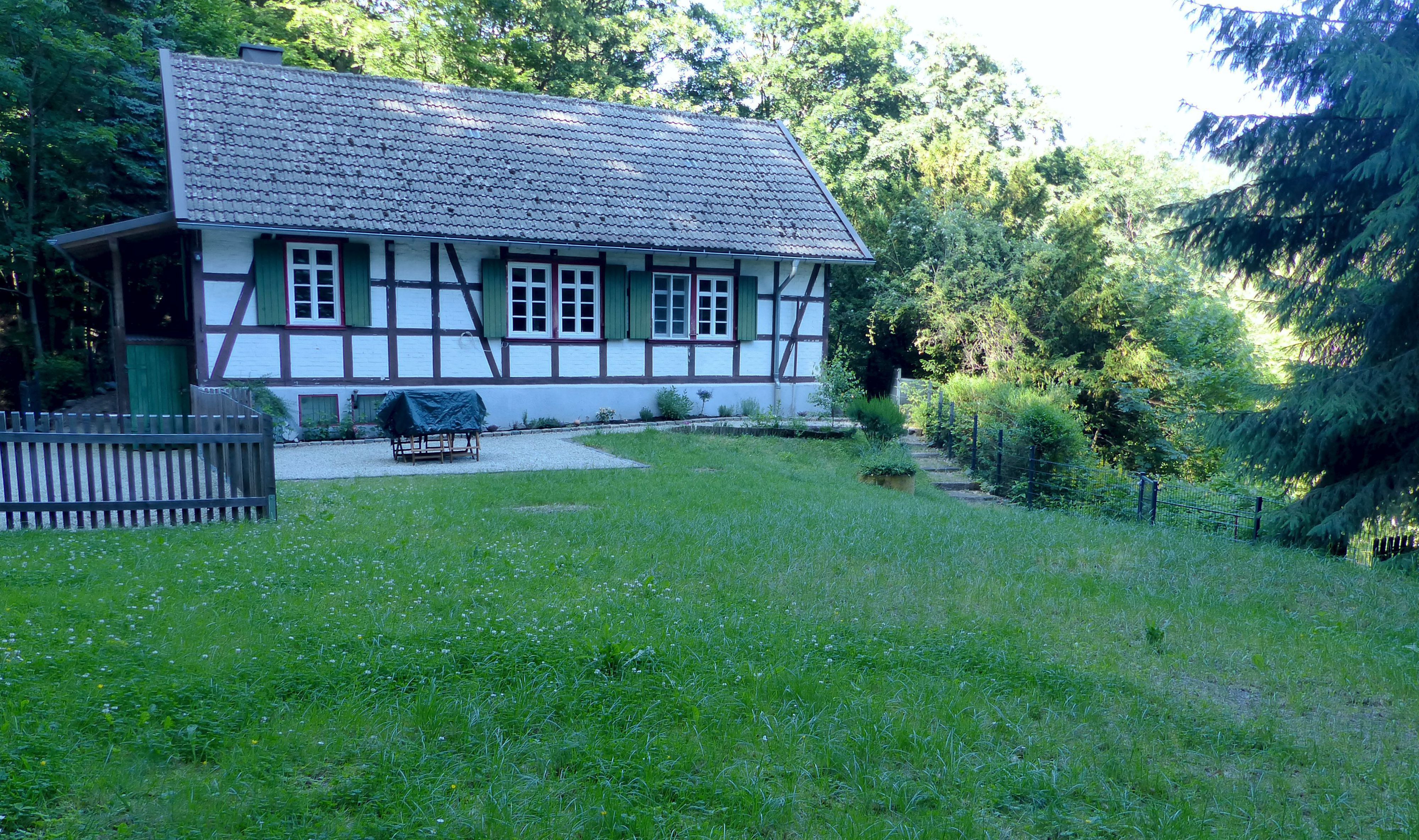 Waldhaus Staufenbergblick - Zorge - Garten