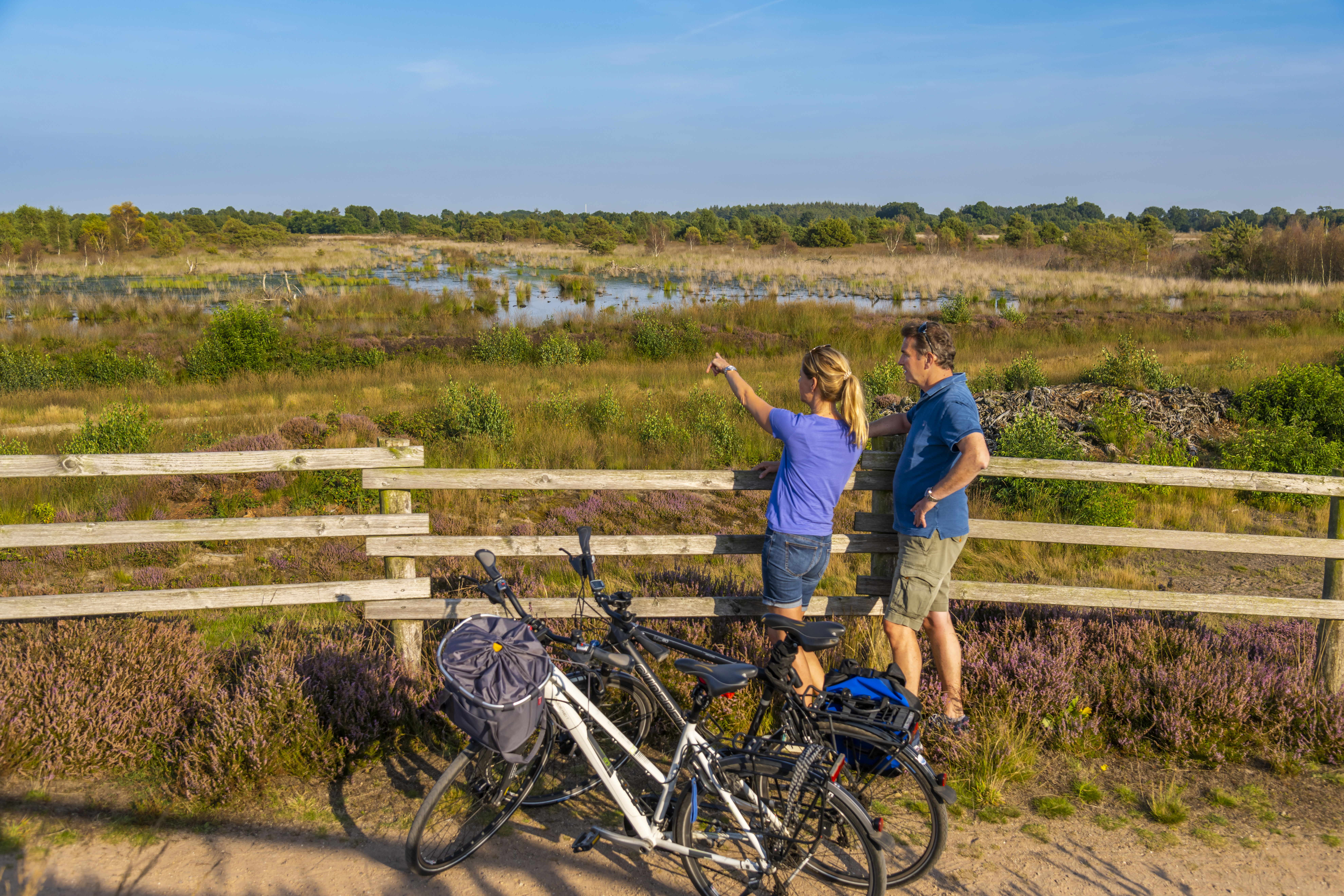 Naturpark Bourtanger Moor - Veenland