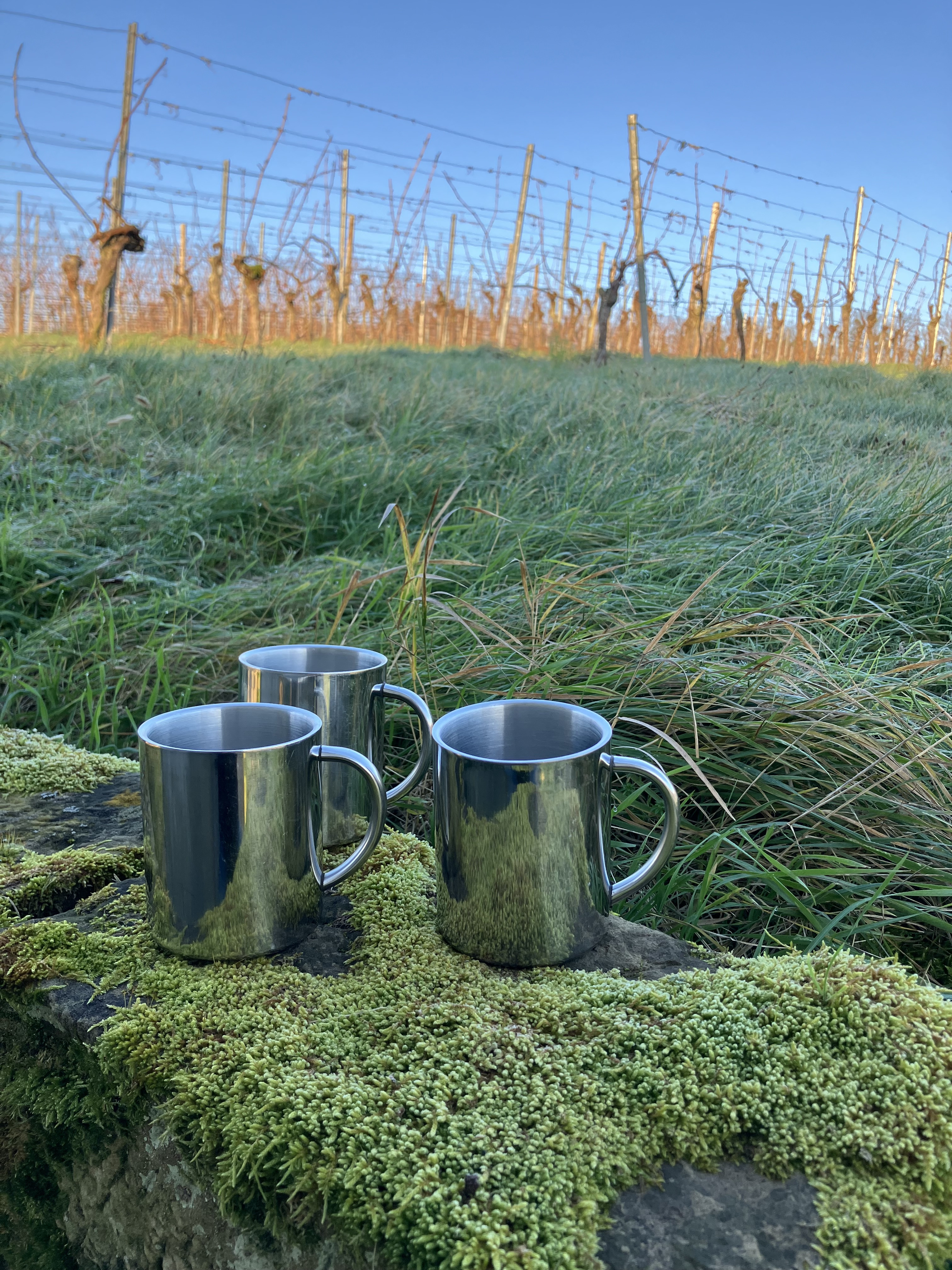 IMG_4611 | Ute Schmidt WEF