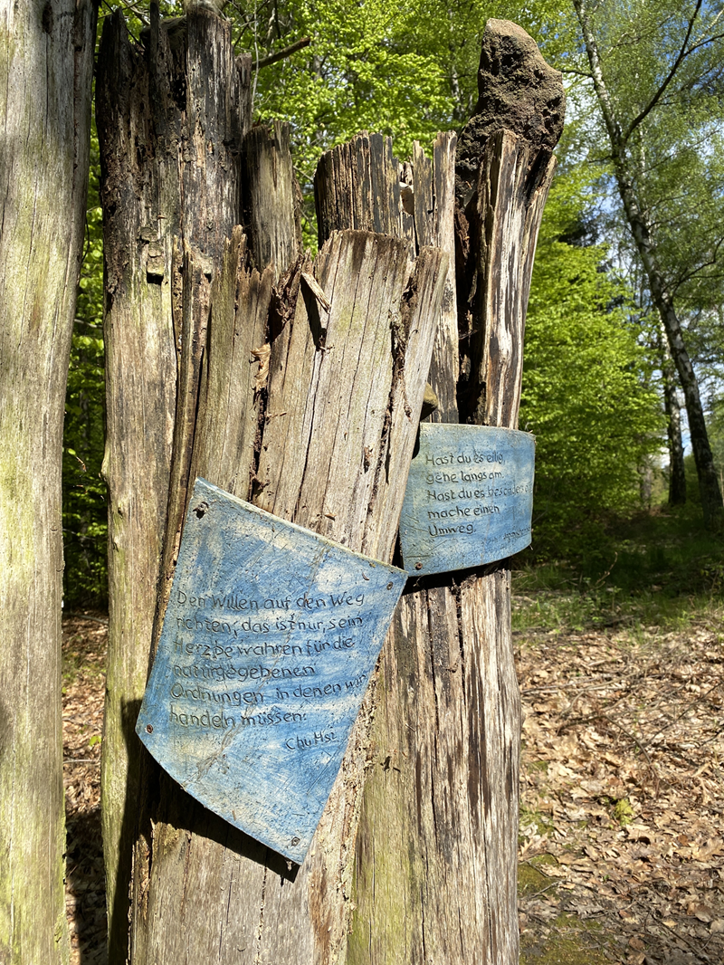 Ars-Natura im Melsunger Stadtwald