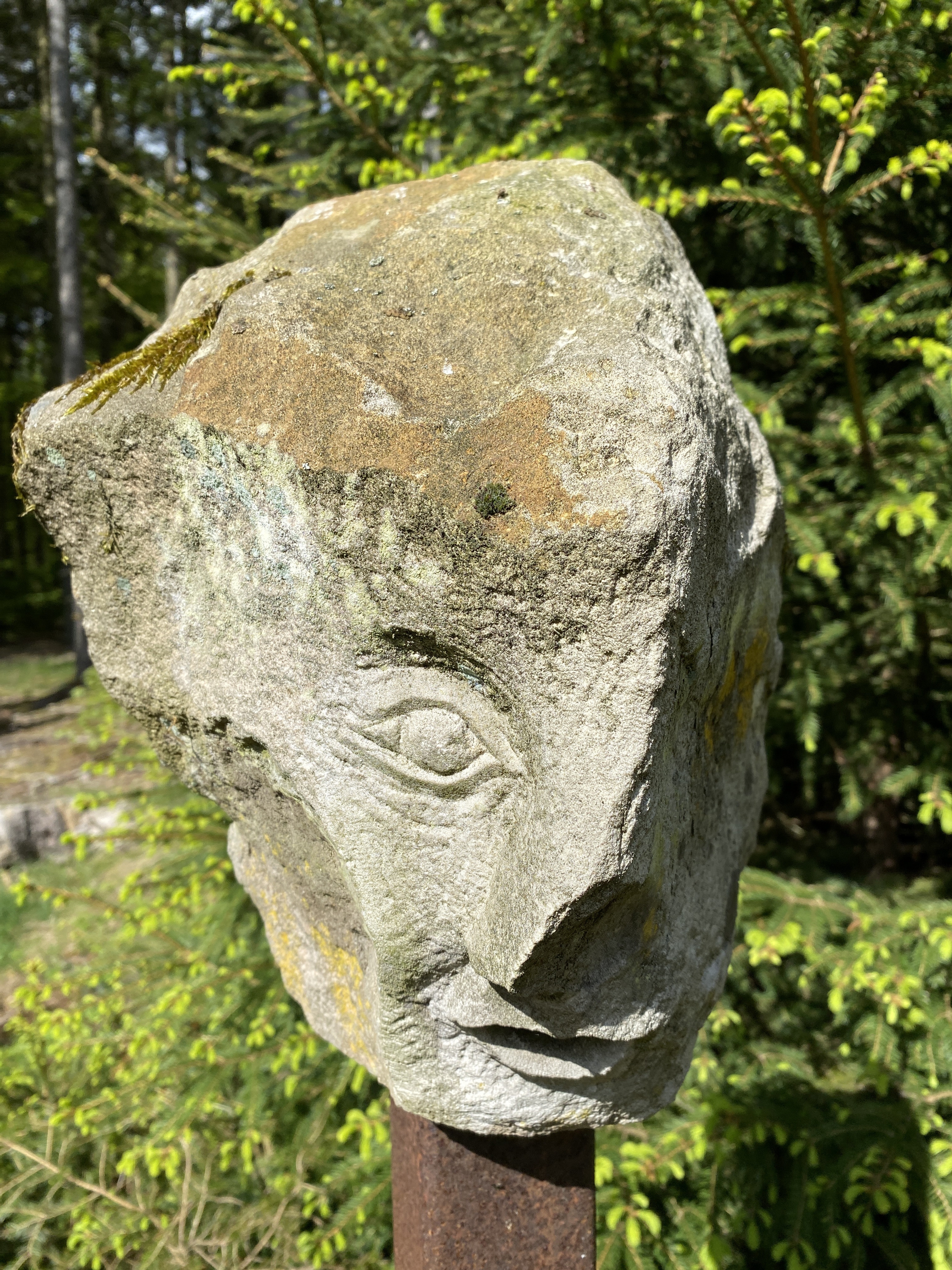 Ars-Natura Melsunger Stadtwald (4)