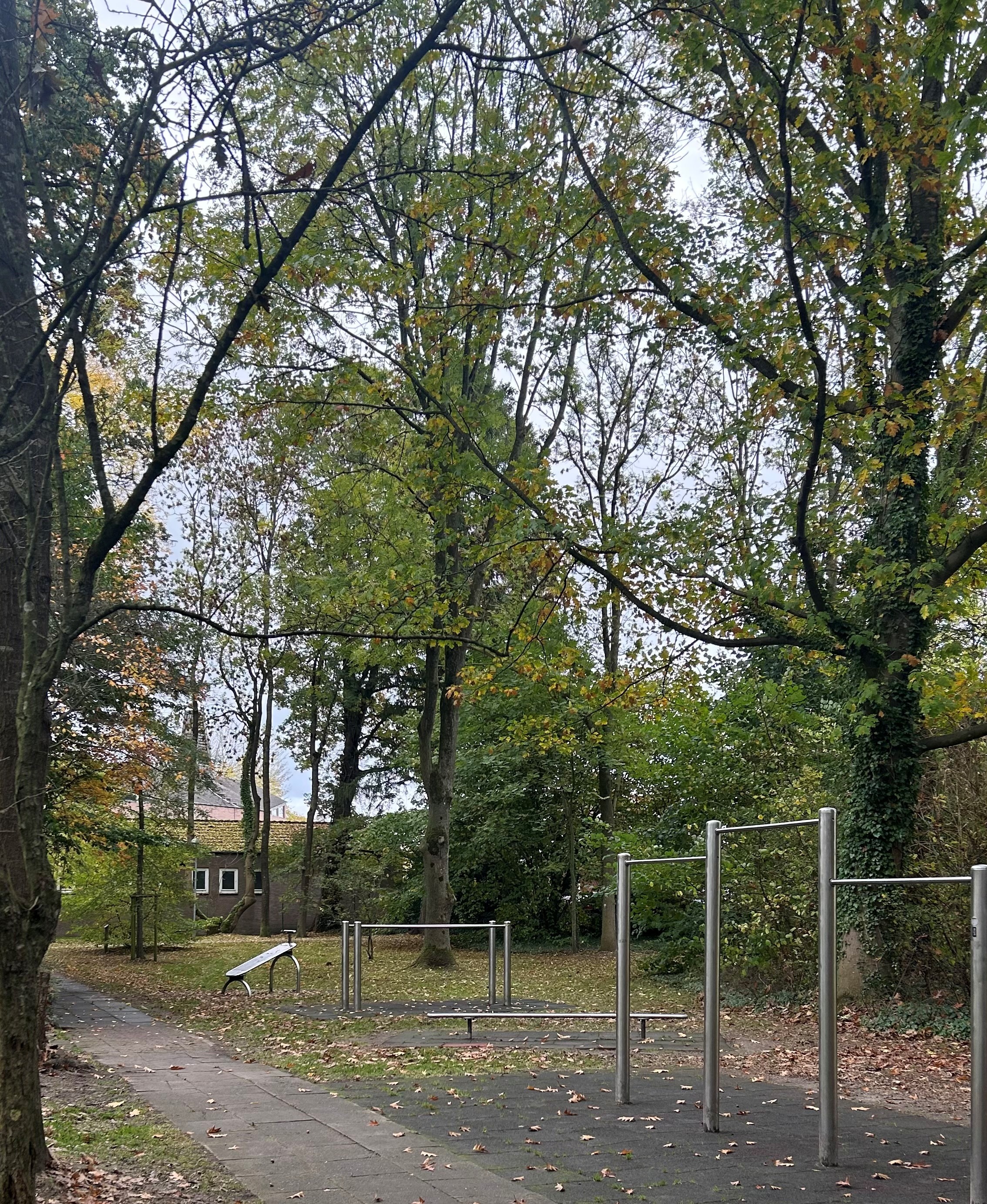 Streetworkout im Gertrudenpark