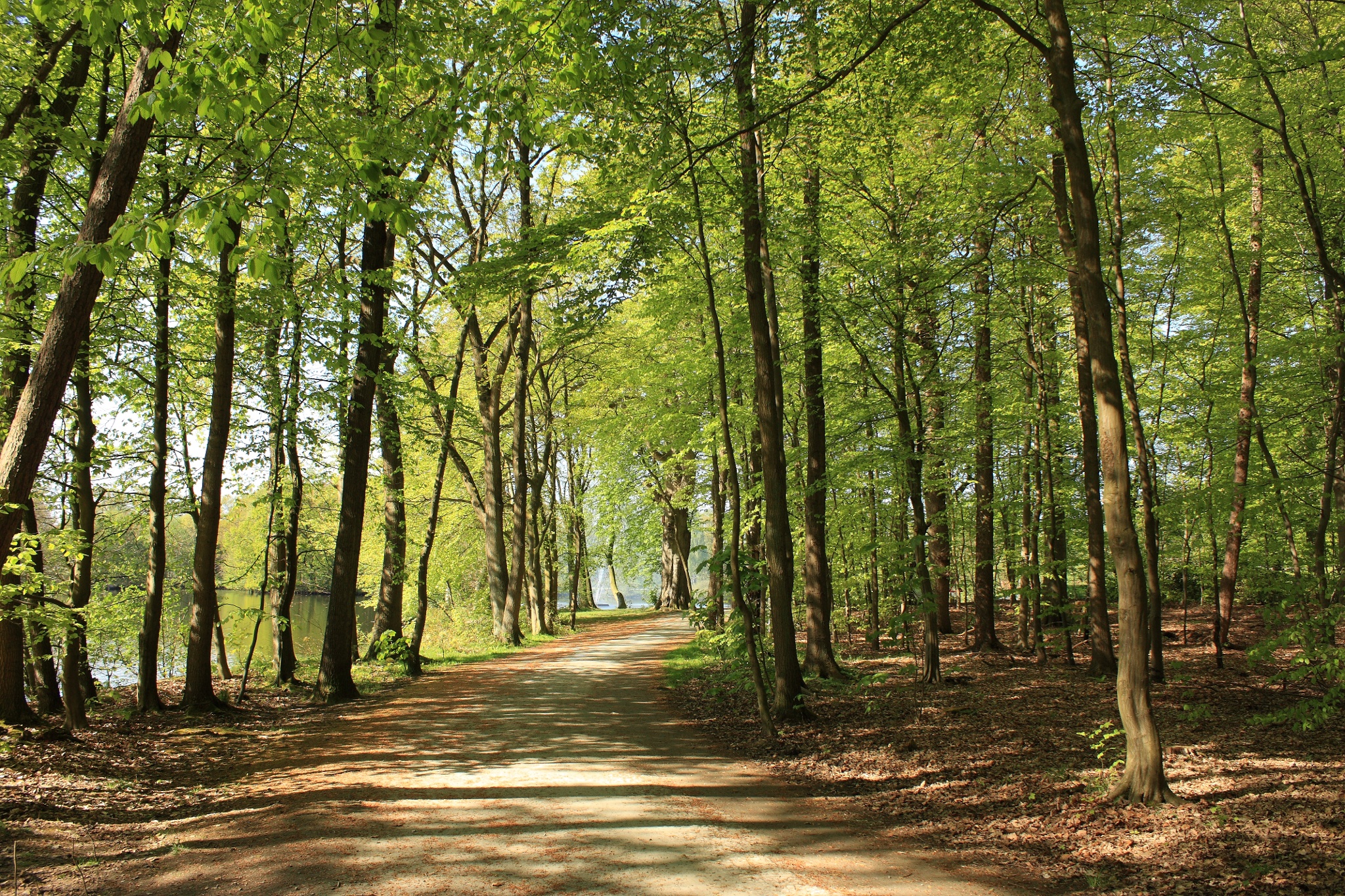 Schlosspark Rastede