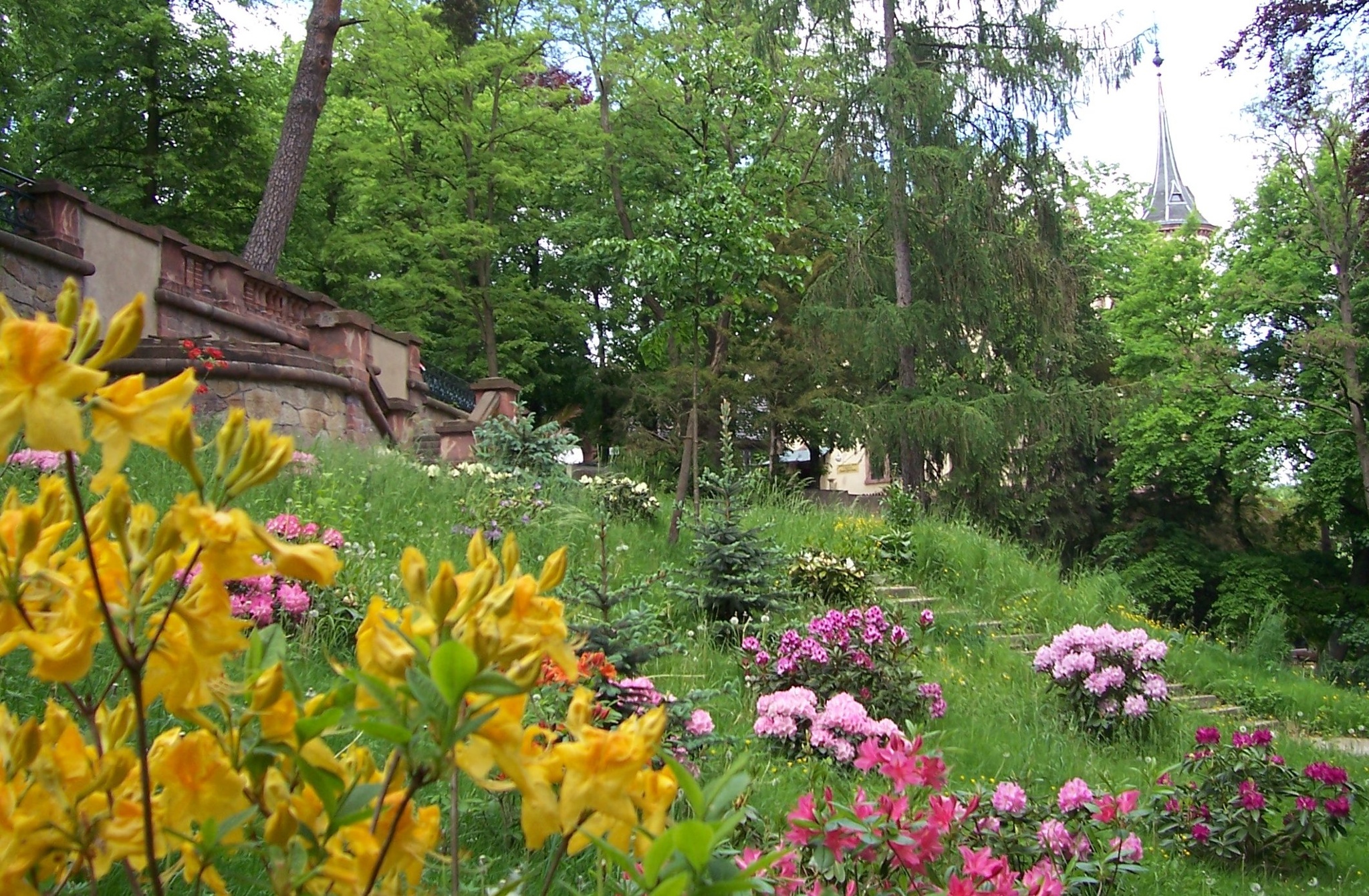 Alinepark Grimma – Motiv