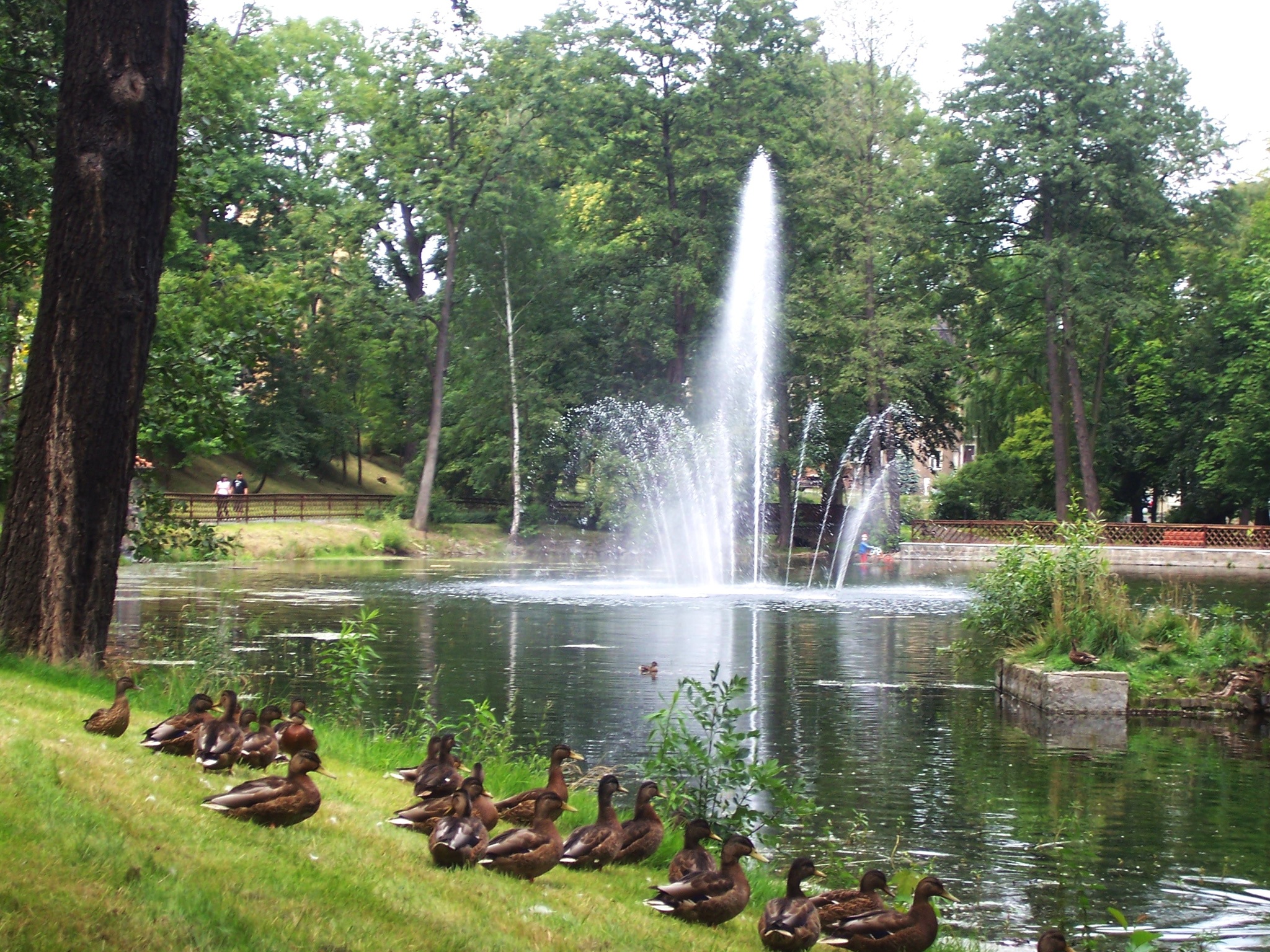 Schwanenteichpark Grimma – Motiv