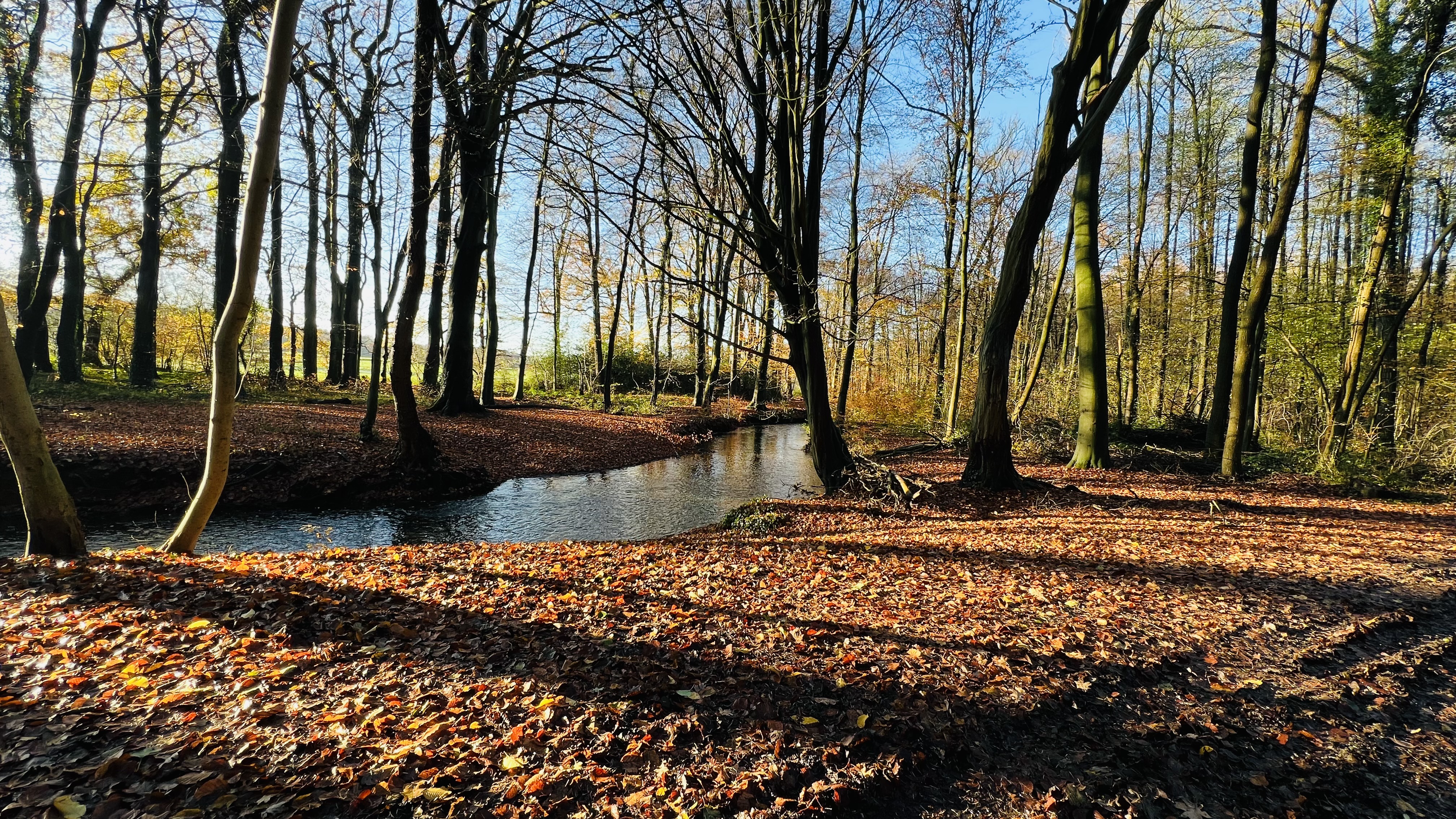 Stendorf - Durch Wald und Feld - Eine Stunde raus