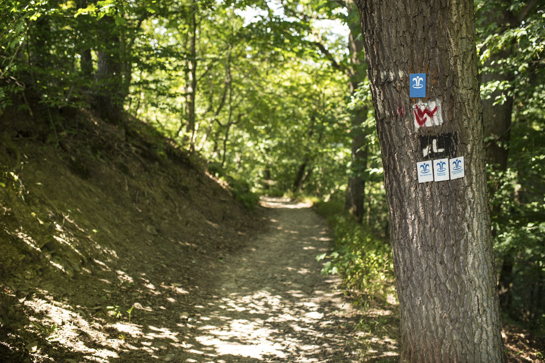 Lahntal-Tourismus_2016-07-12_D5_10037 (c) LTV - Paaru Blofield.jpg