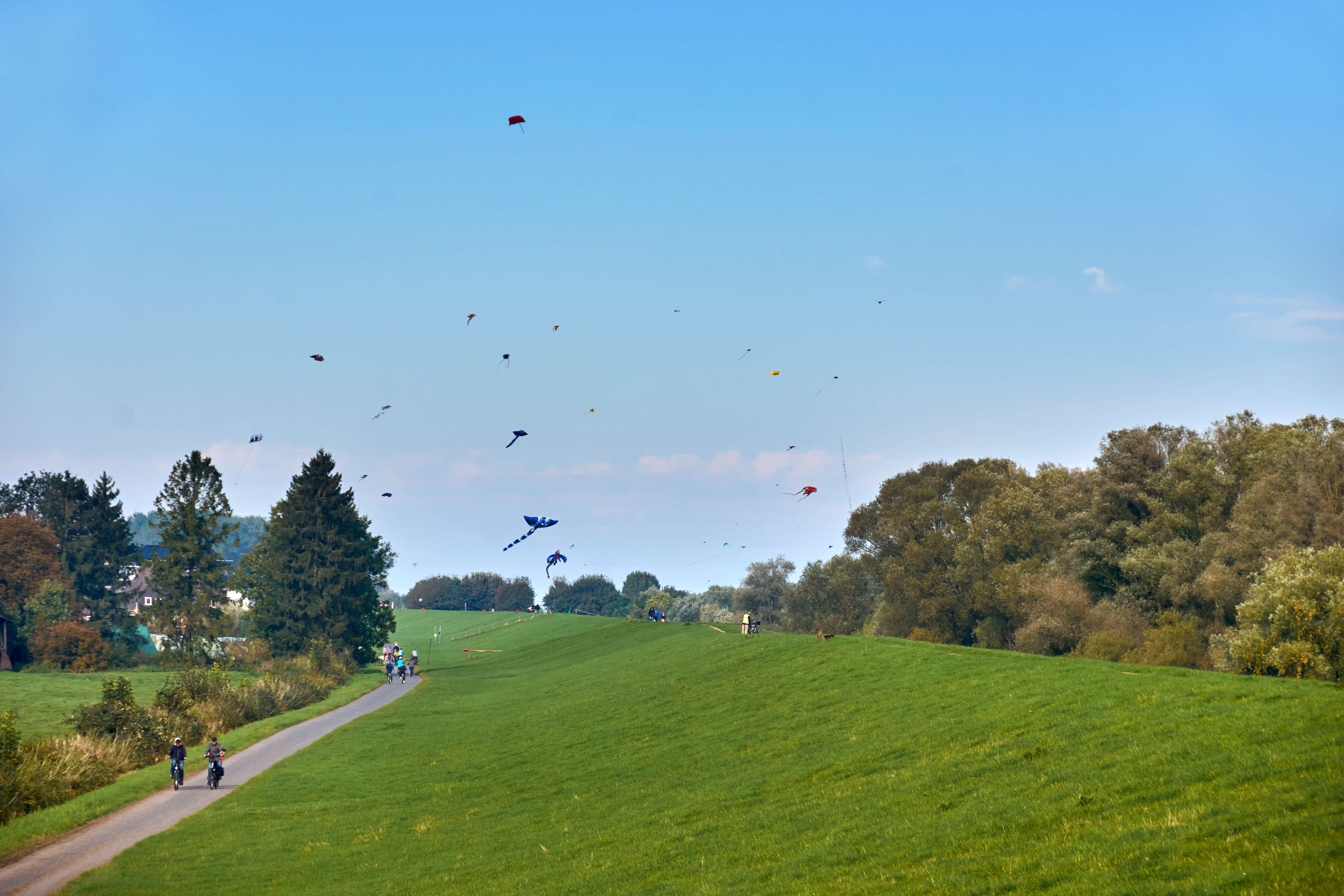 Drachenfest - wir machen den Himmel bunt!