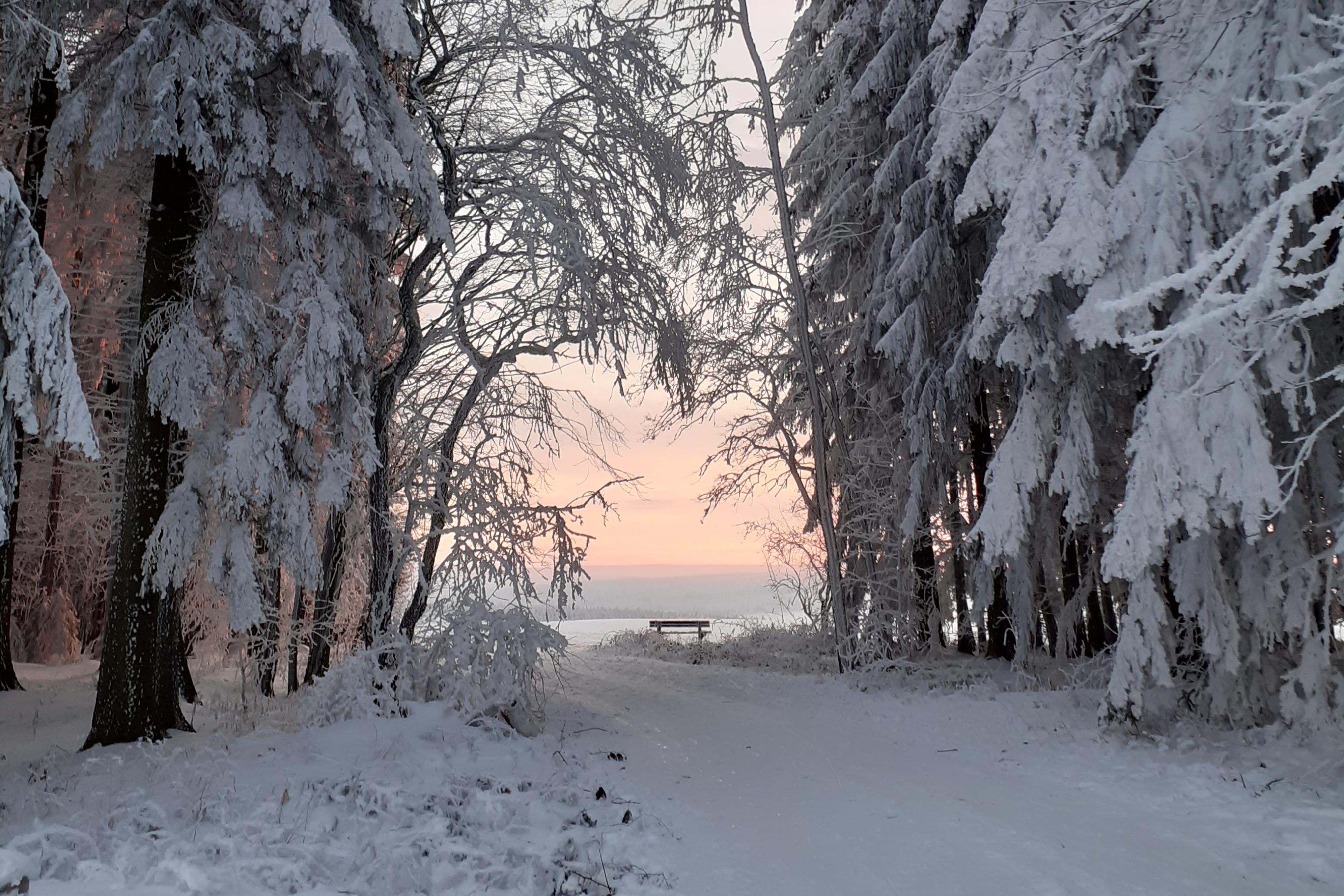 Winterimpressionen Buchholzer Wald