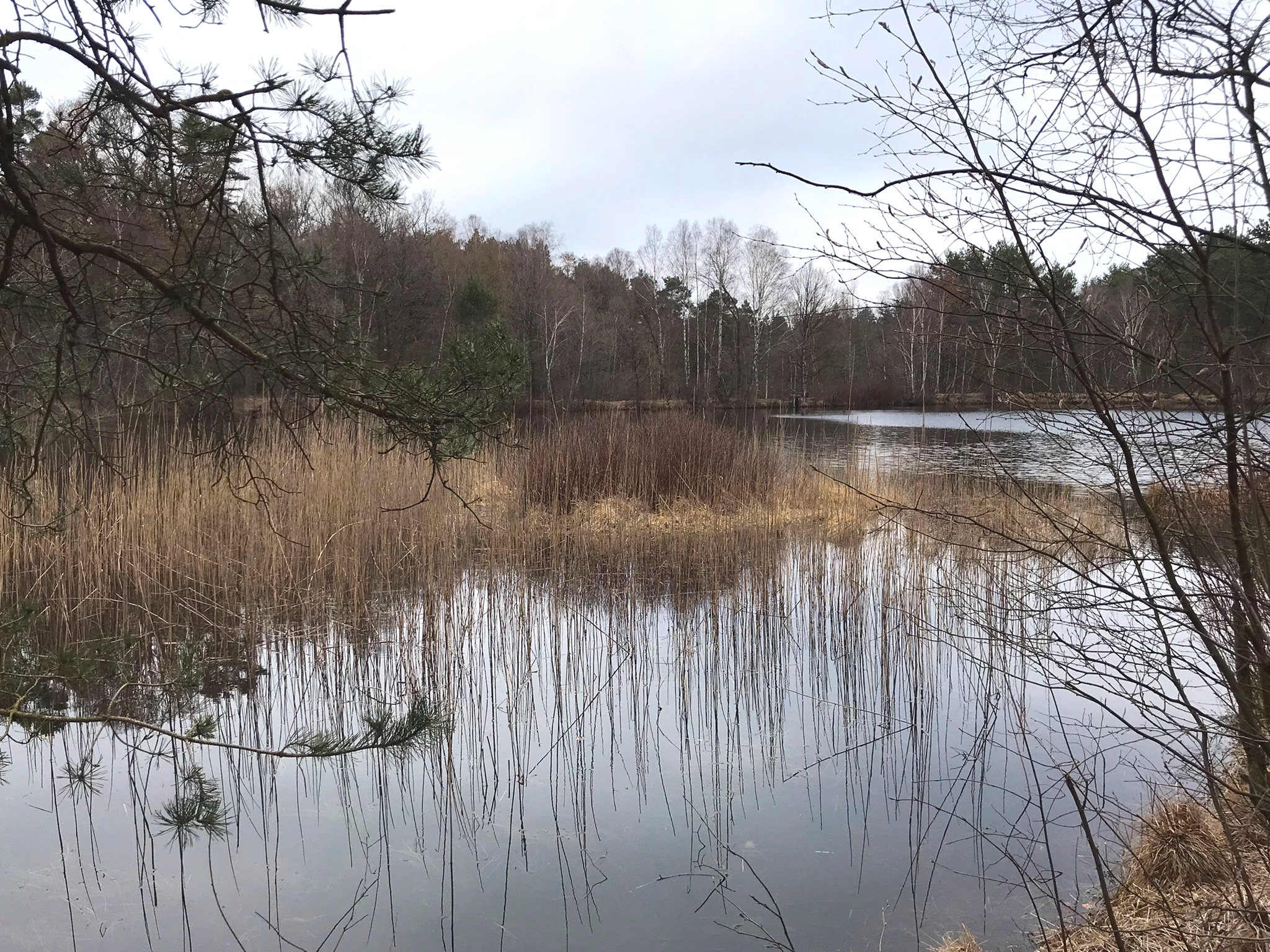 Heidhöfer Teiche