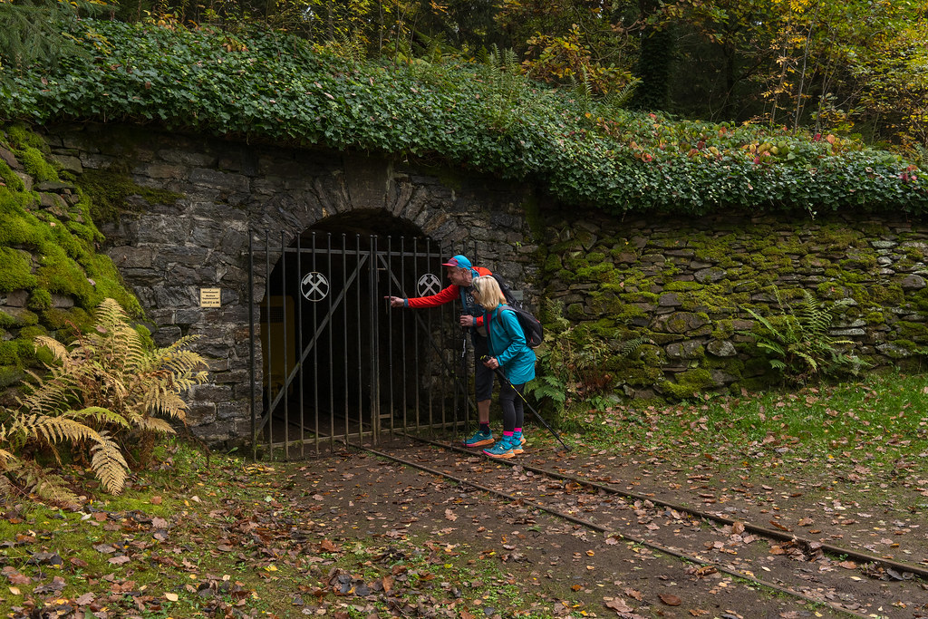 Natur- und Bergbaulehrpfad „Zum Hohen Forst“ – Motiv