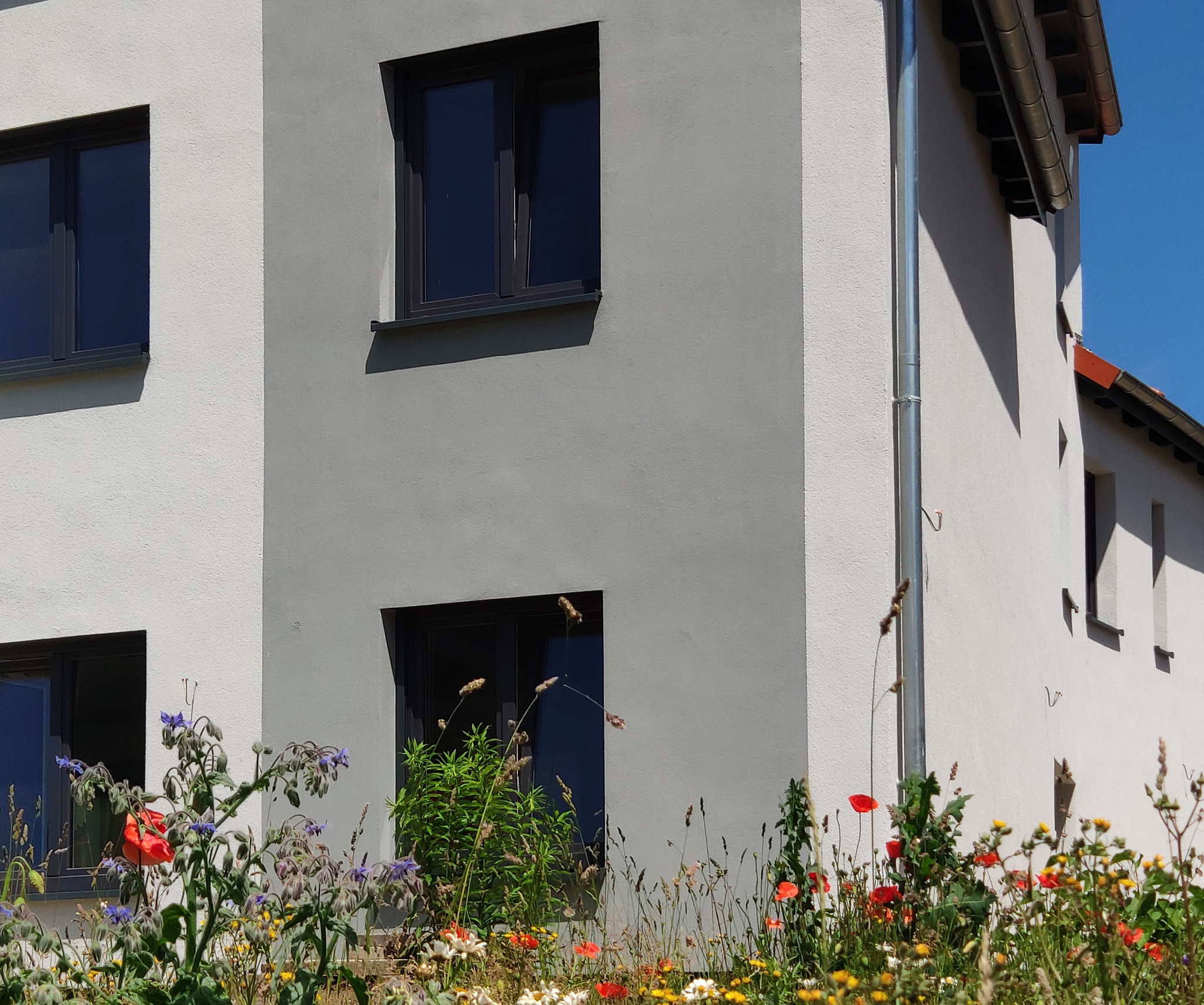 Ferienwohnung NaturZeit in Brunkensen, Alfeld (Leine)