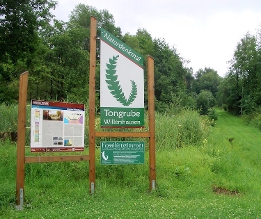 Harzbörde-"Harzhorn"-Willershäuser Tongrube