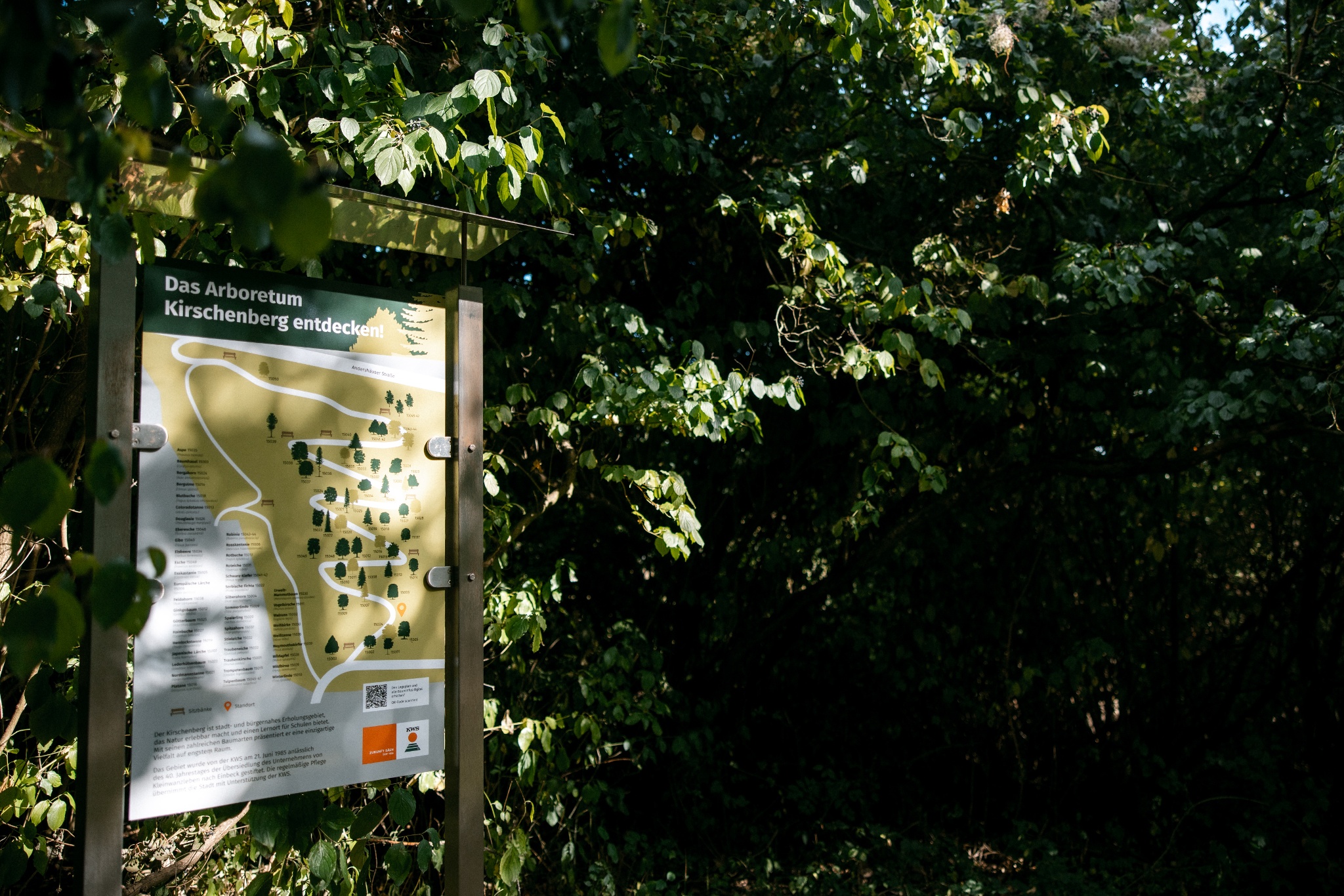 Naturgebiet Kirschenberg