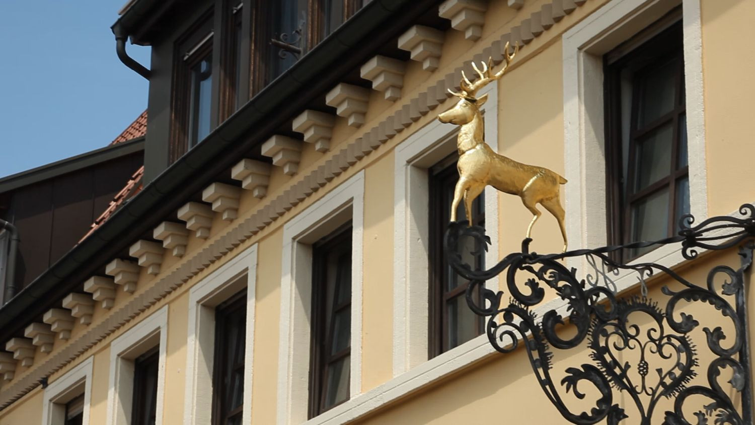 Hirsch_Bad Schönborn