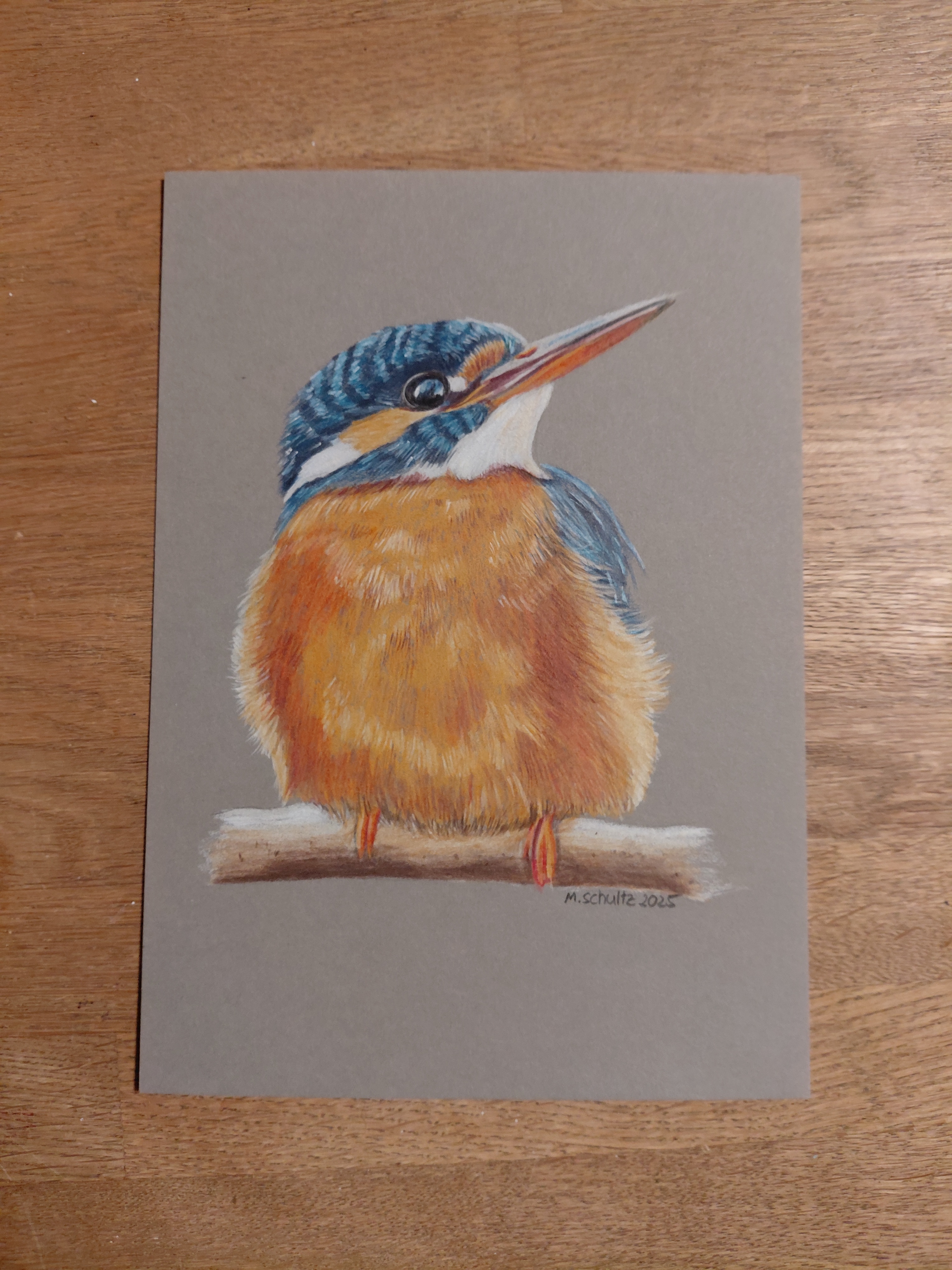 Zeichenworkshop Eisvogel