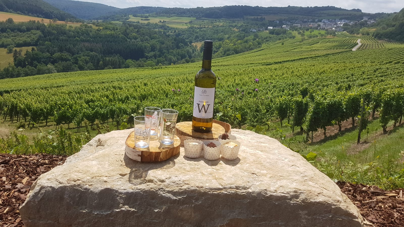 Weingut Biewers Tawern-Fellerich