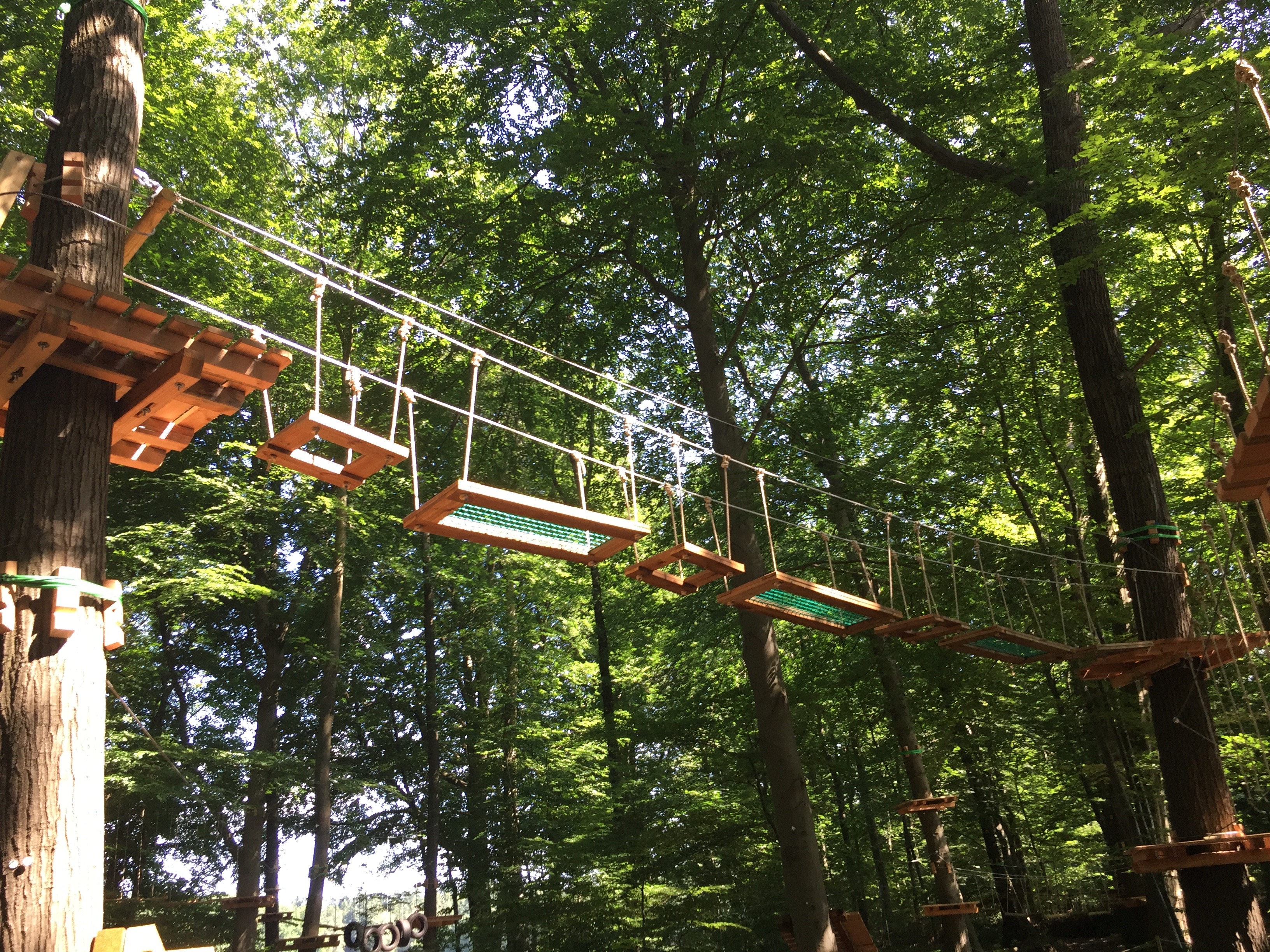 Kletterwald Sögel