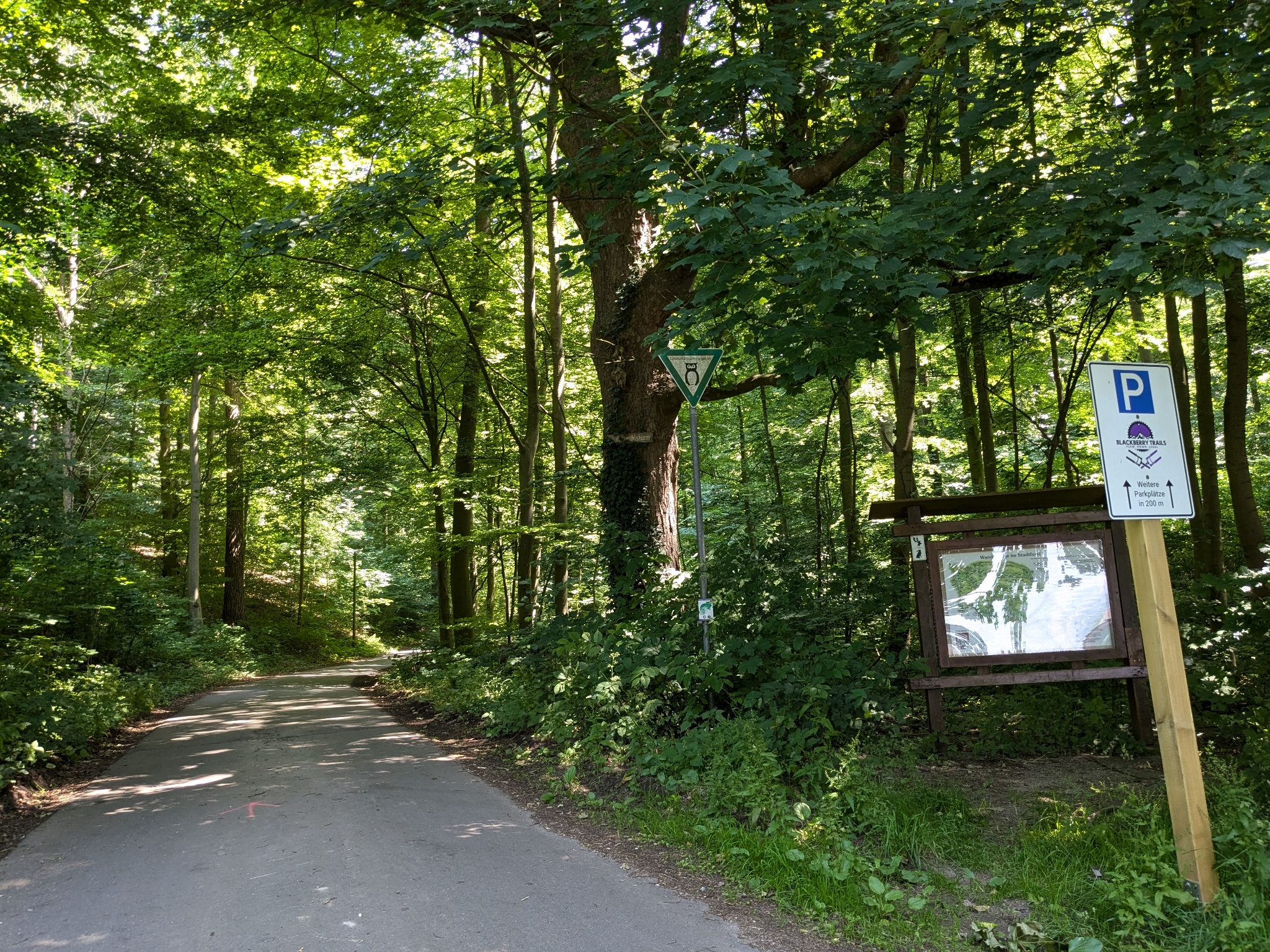 unterer Parkplatz an den Teichen
