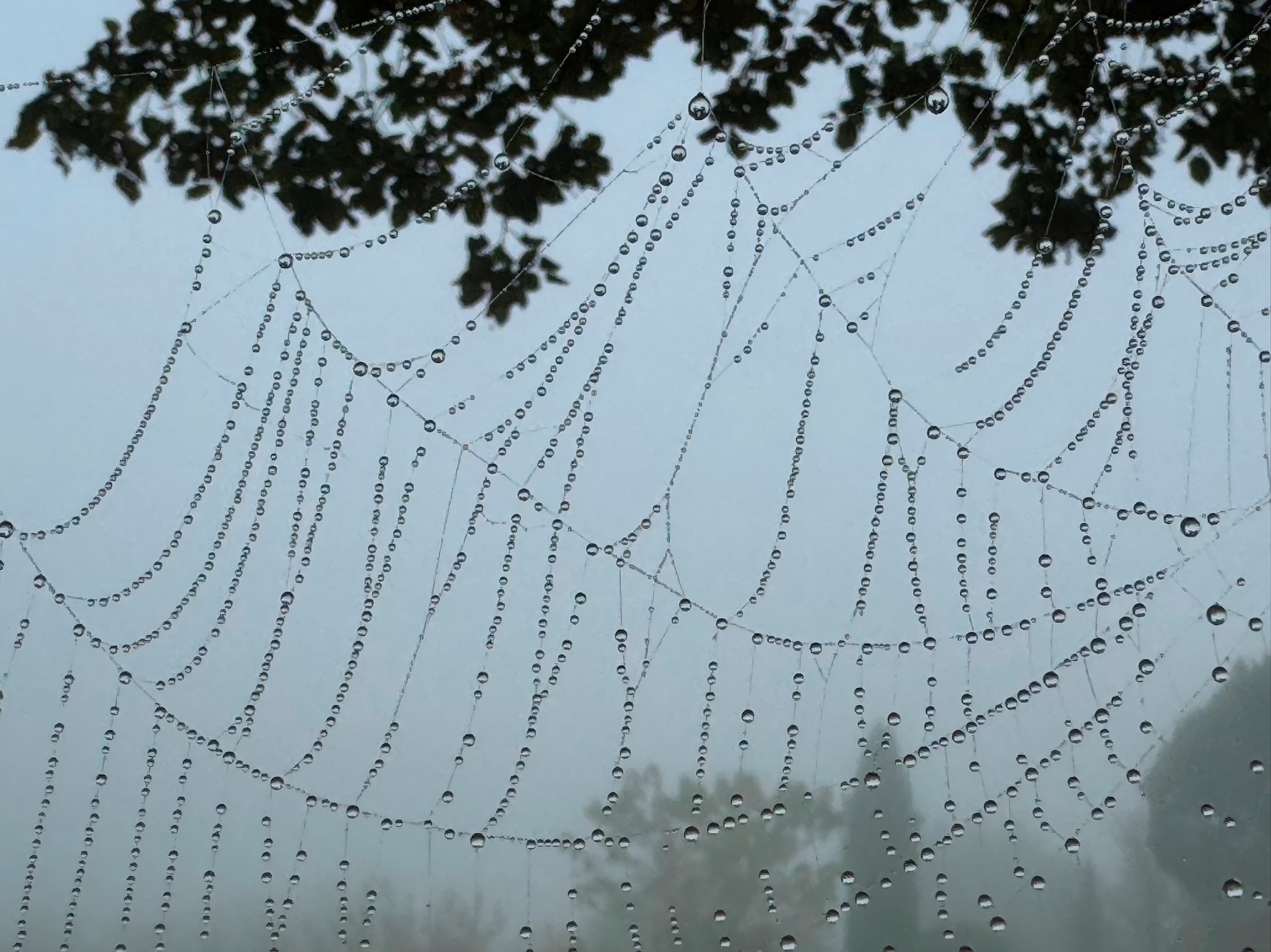 Mitgliederausstellung: Wasser
