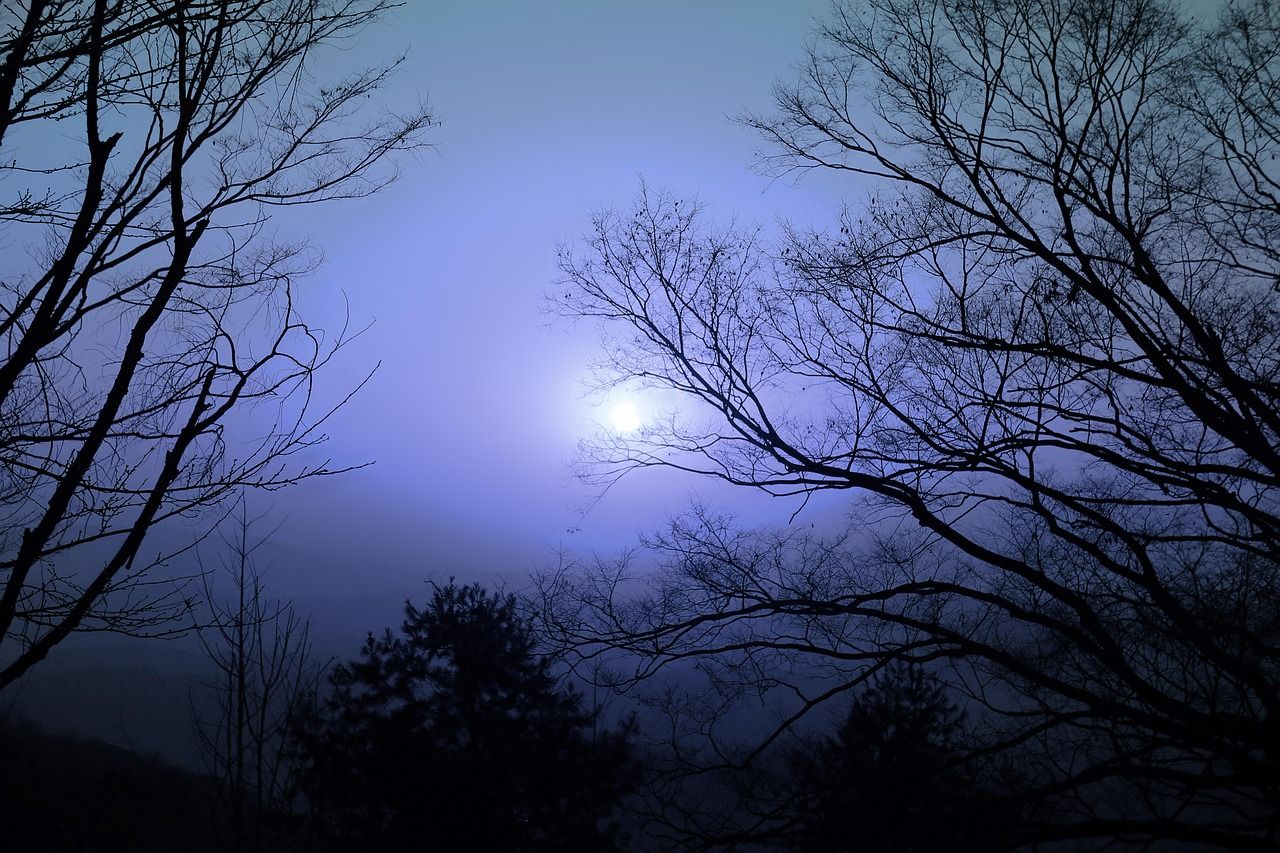 Vollmond-Wanderung am Ahlenmoor
