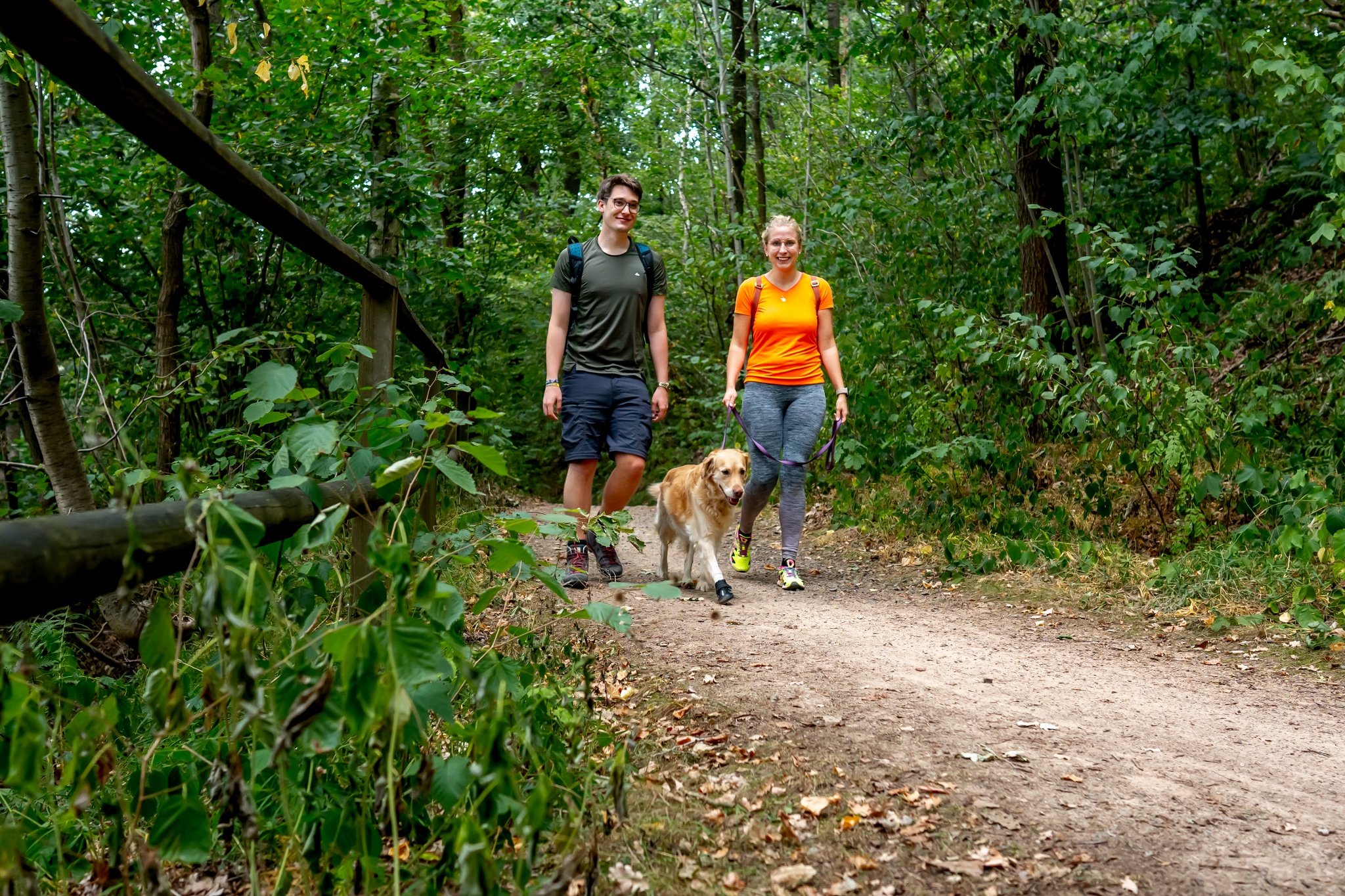 Muldental-Wanderweg Glauchau – Penig – Motiv