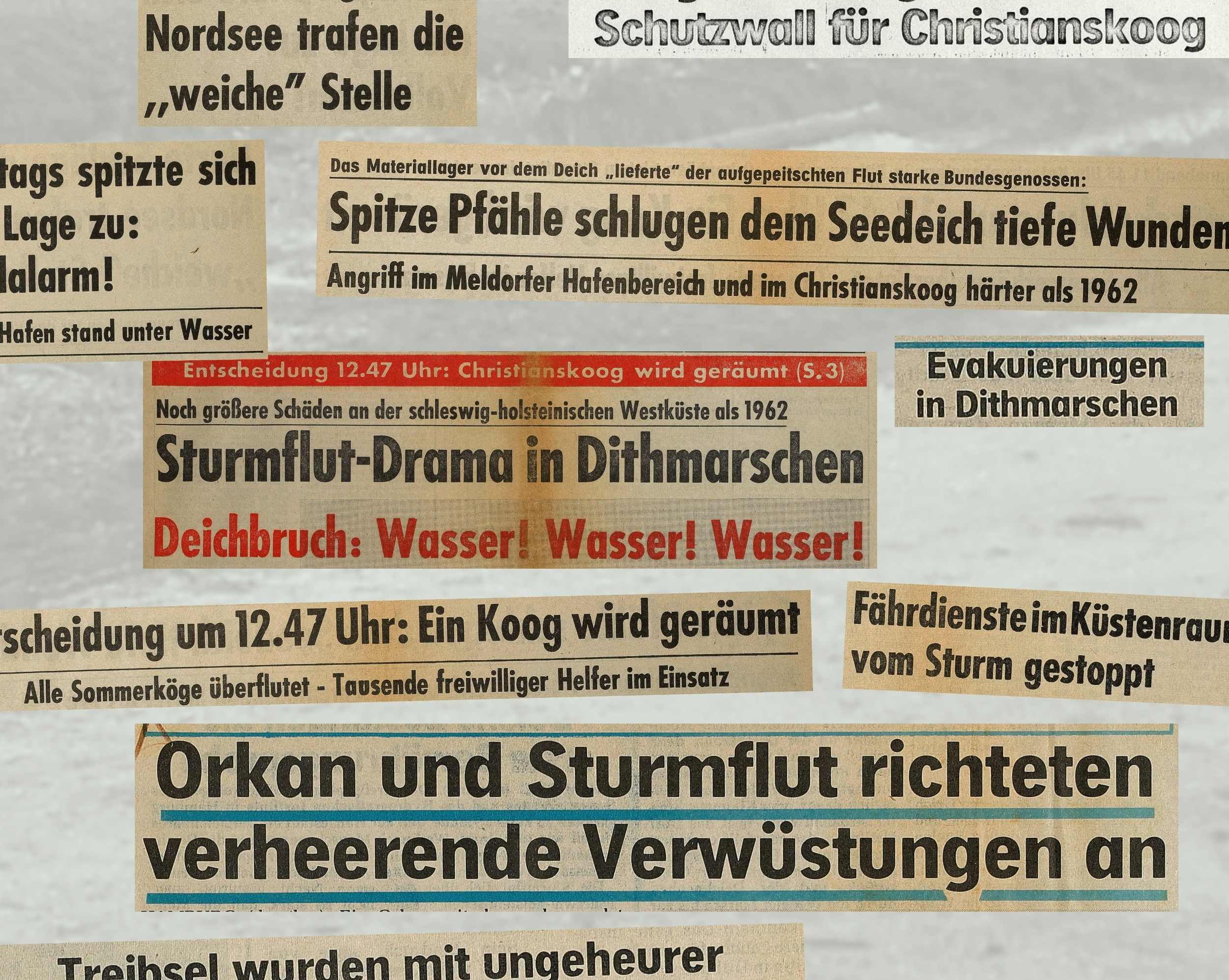 Öffentliche Führung - DIE STURMFLUT 1976