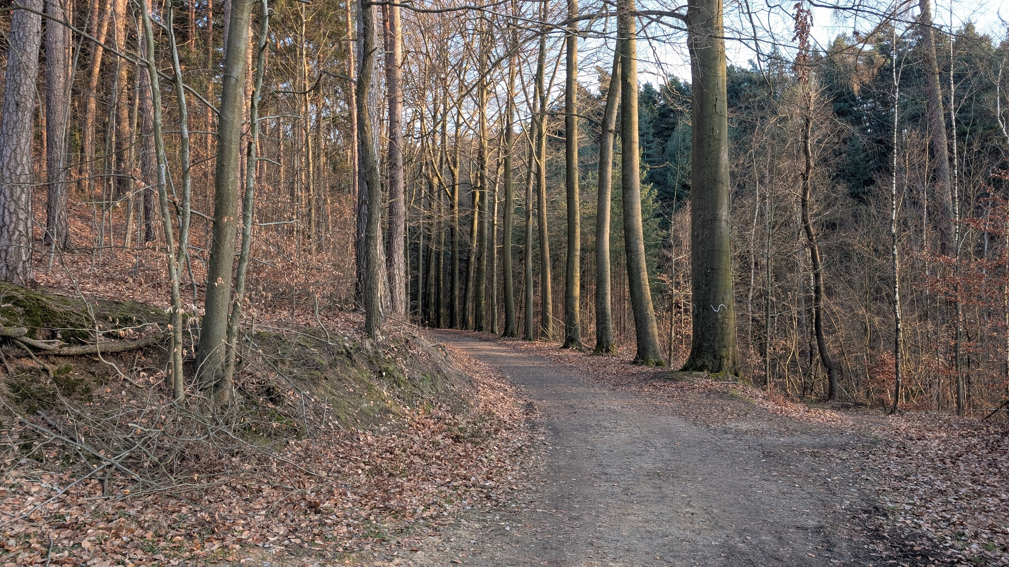 Rund um den Königstein