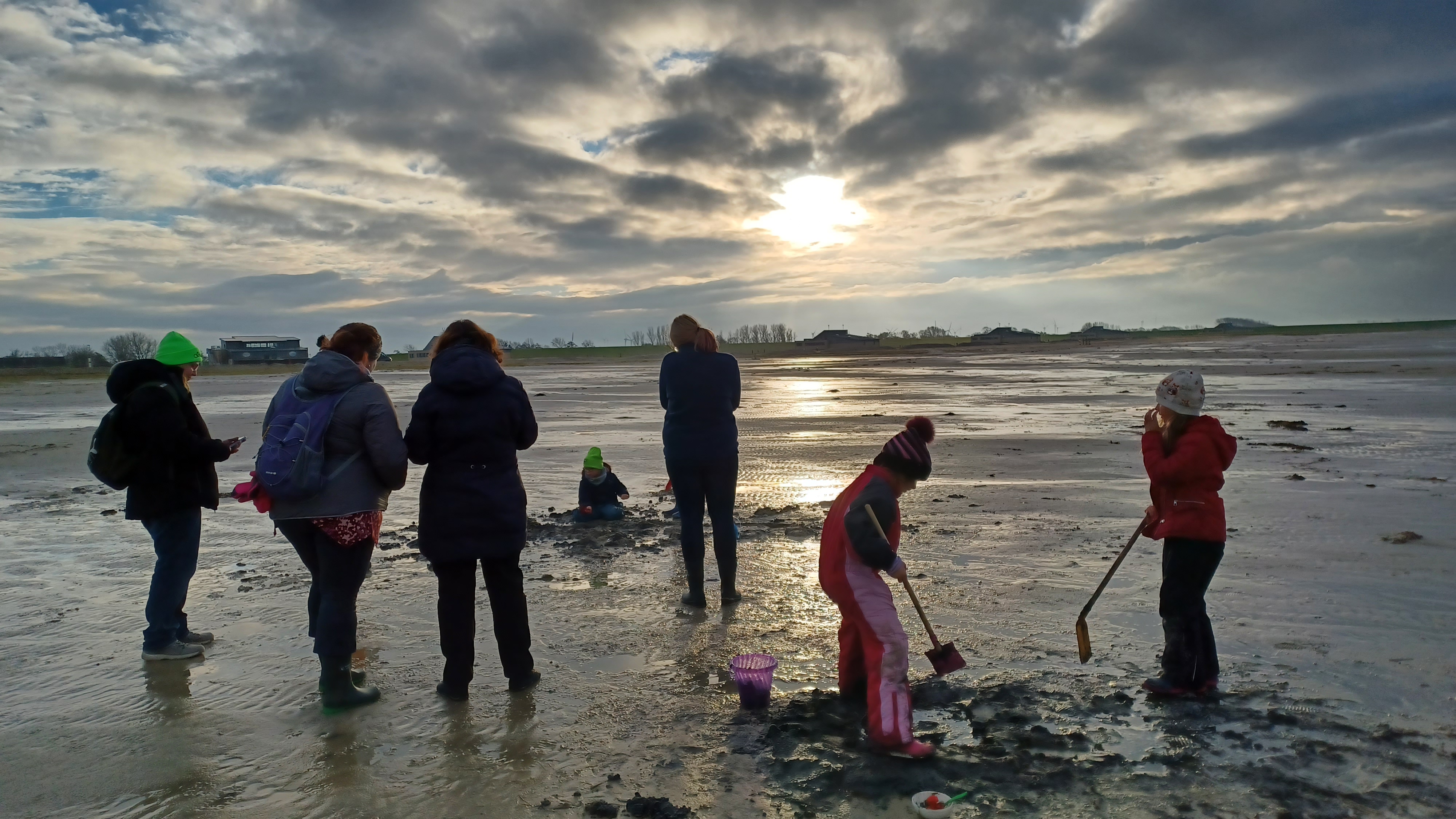 Watt zum Buddeln - Watt-SAFARI f&uuml;r Kids von 4 - 7 Jahren